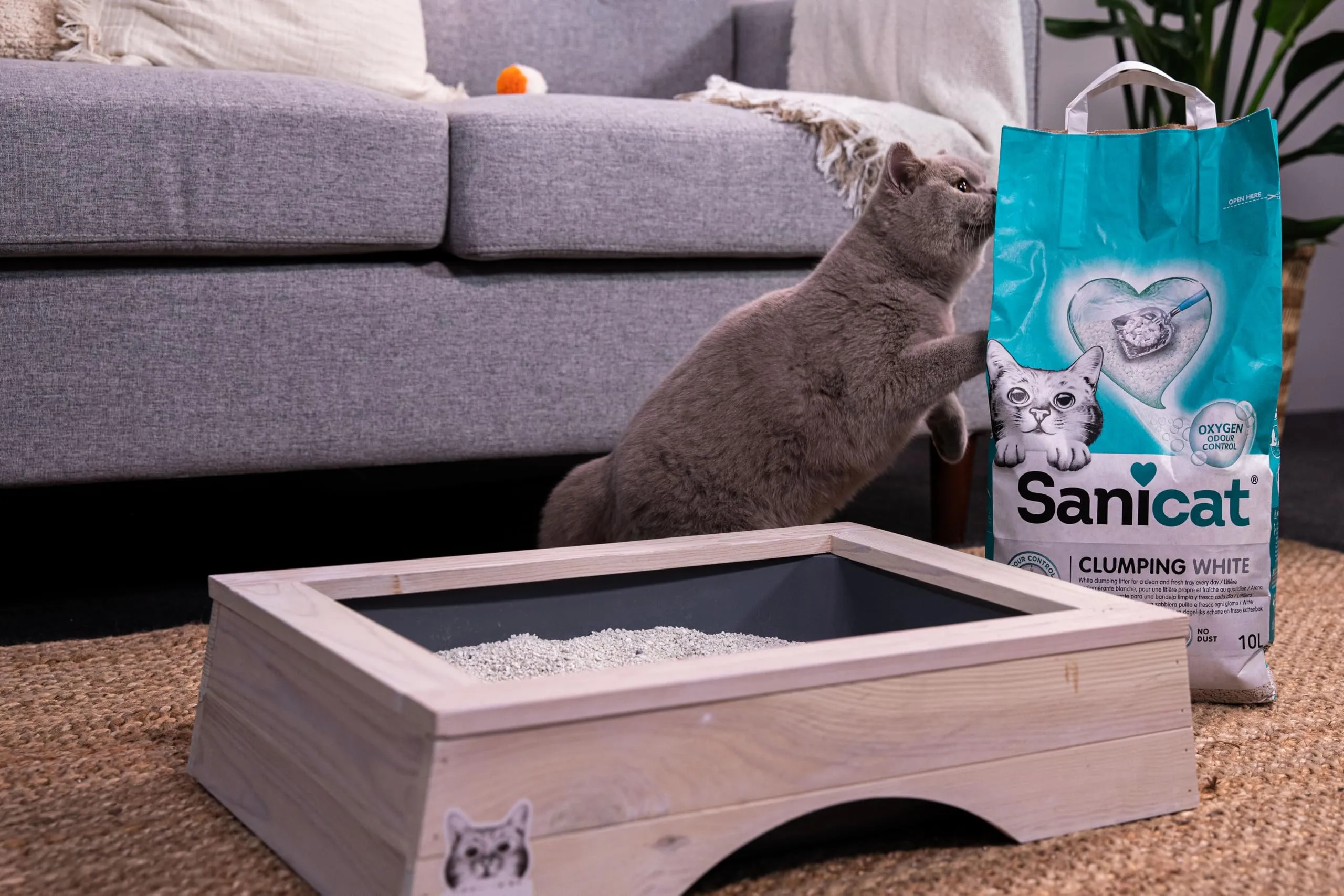 Sanicat Clumping White Unscented Cat Litter - 10 L - immagine 6