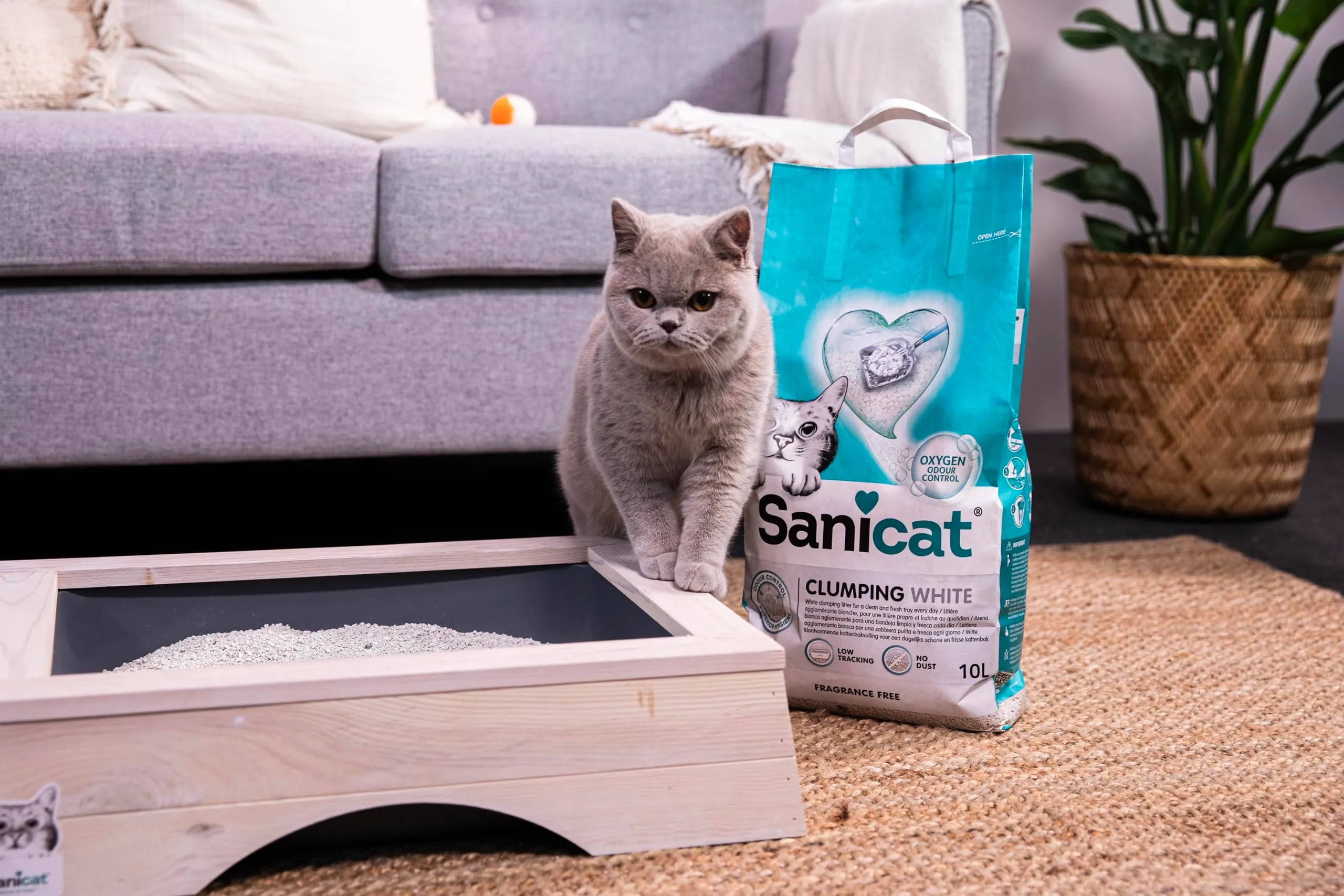 Sanicat Clumping White Unscented Cat Litter - 10 L - immagine 7