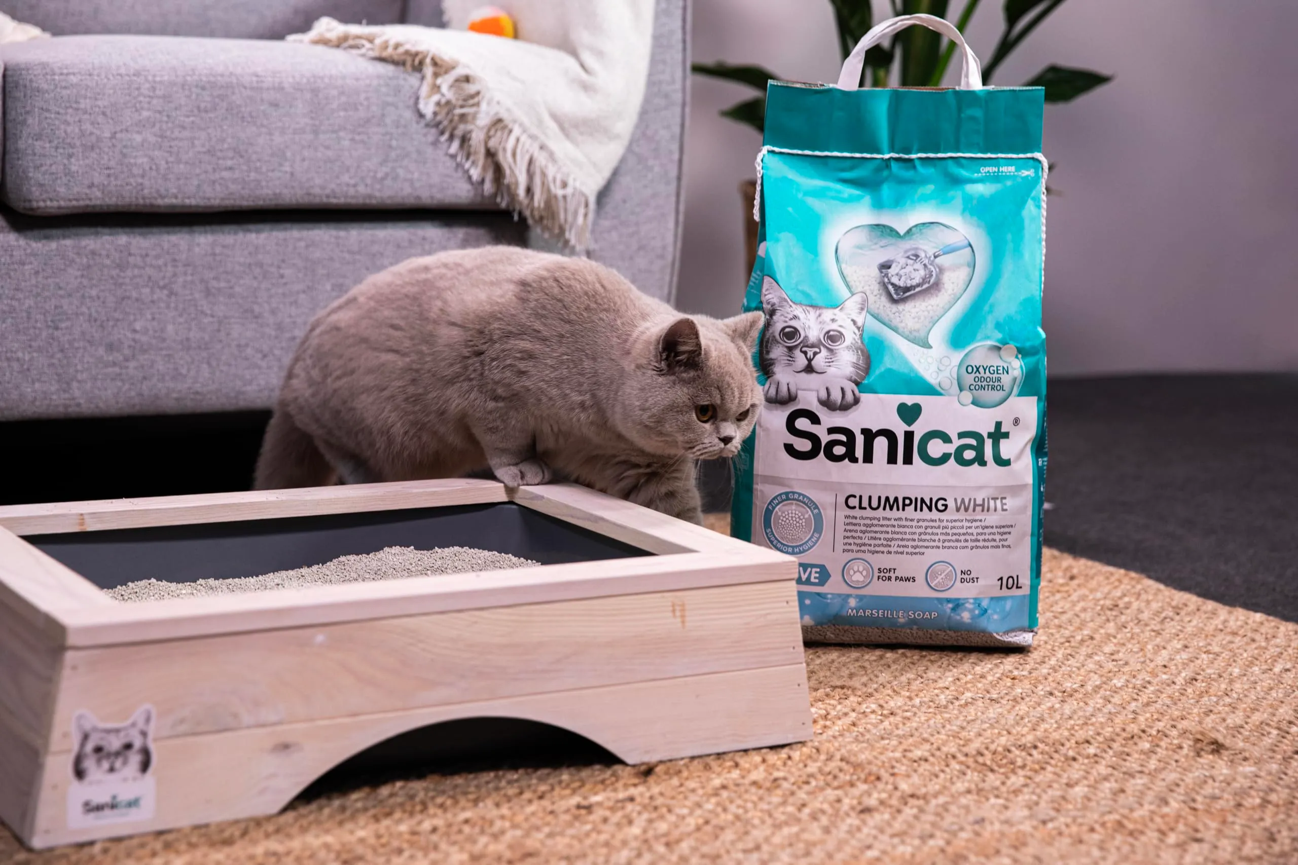 Sanicat Lettiera per gatti agglomerante bianca al Sapone di Marsiglia, 10 L - immagine 6