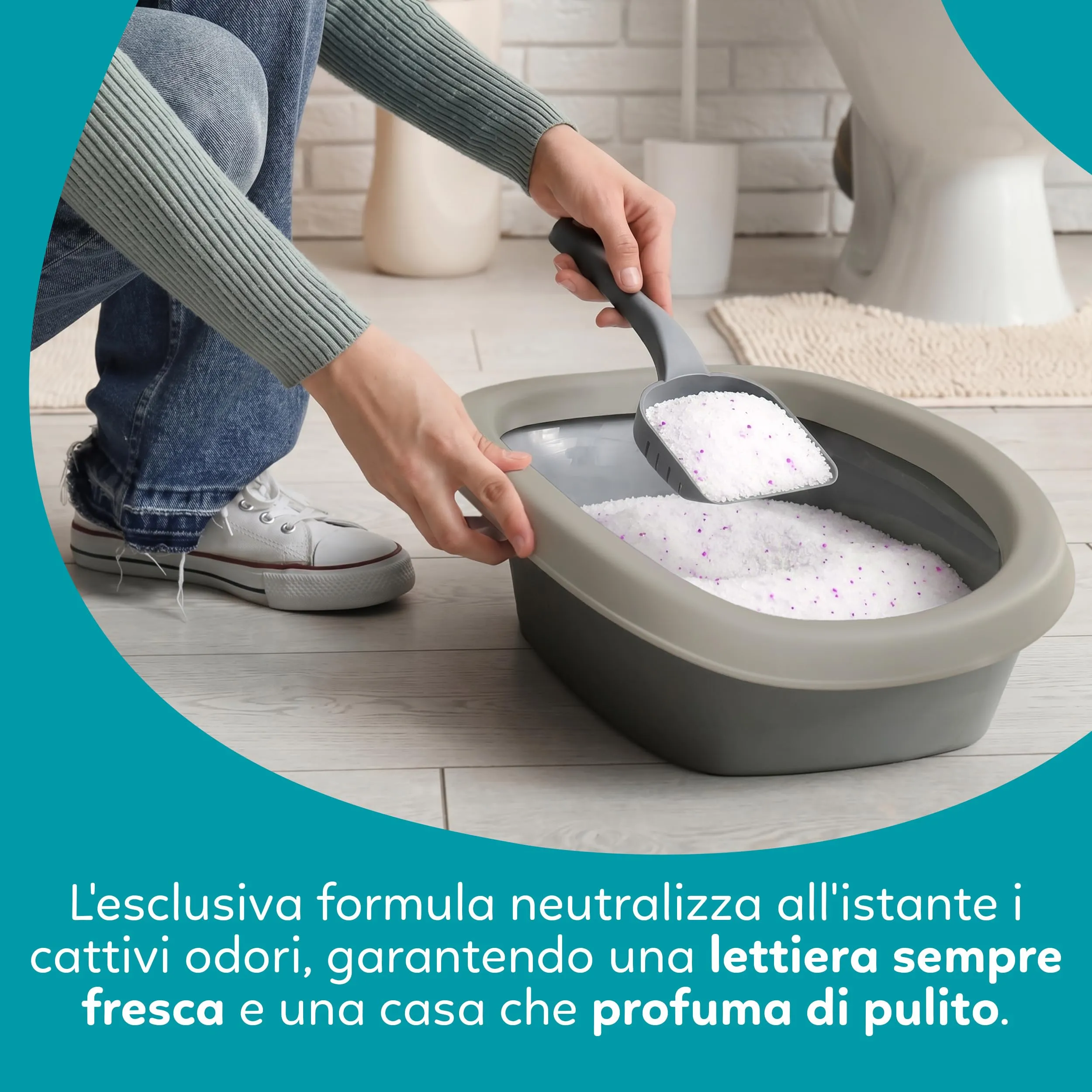 AQPET Catty Lettiera per Gatti al Silicio, Profumo Lavanda, 6x5L (30L) - immagine 4