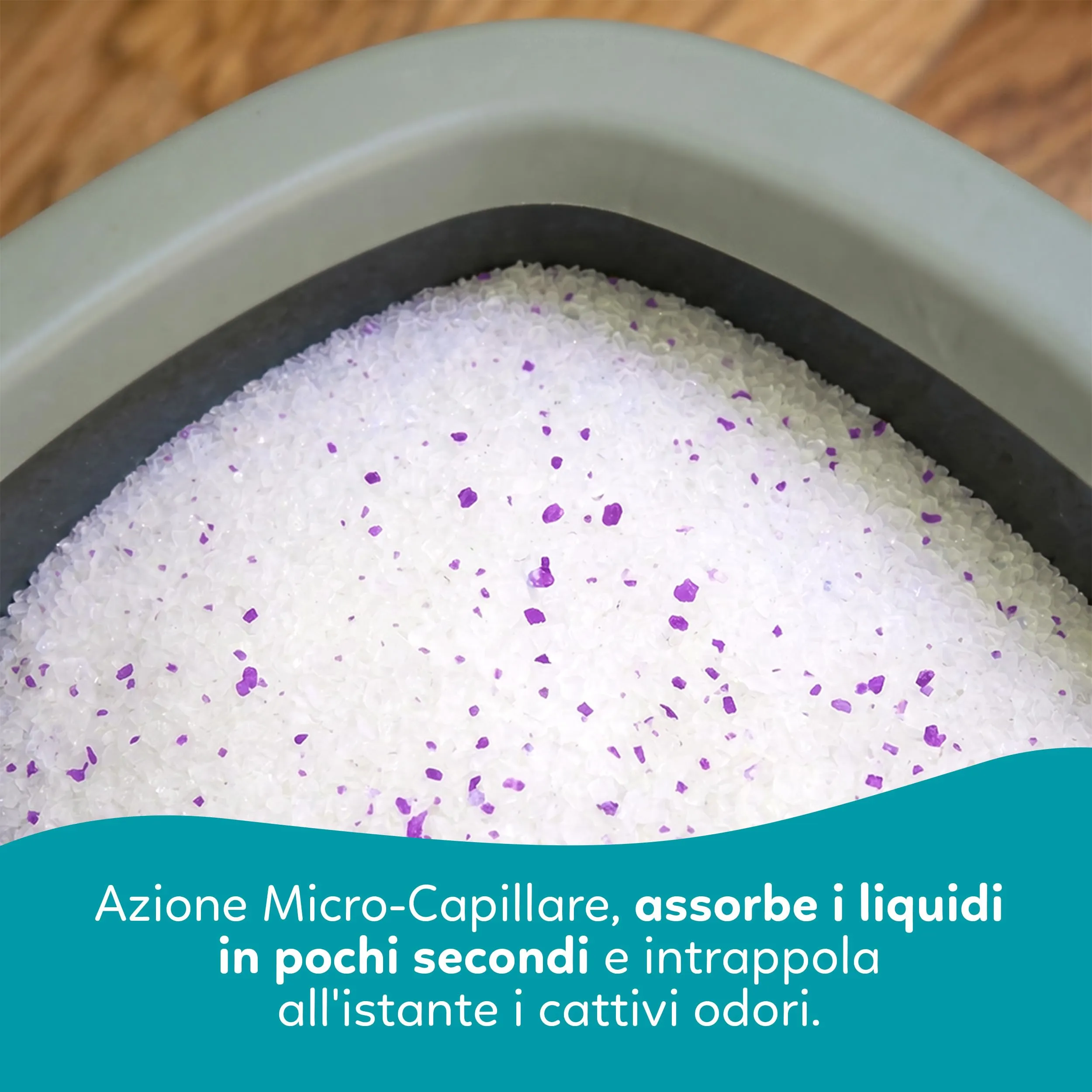 AQPET Catty Lettiera per Gatti al Silicio, Profumo Lavanda, 6x5L (30L) - immagine 6