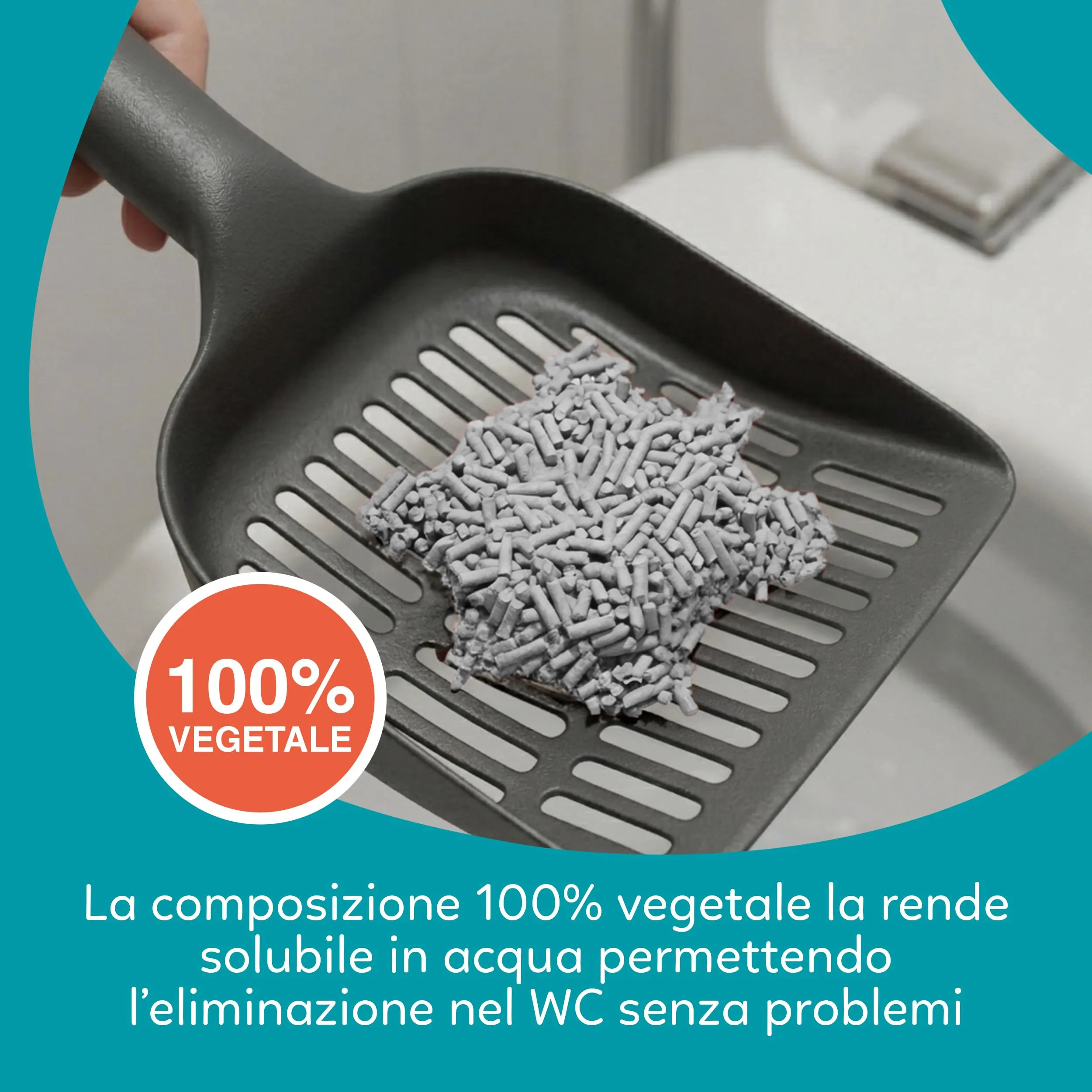 AQPET CattyGreen Lettiera in Soia Naturale al Carbone Attivo, Agglomerante e Biodegradabile, 36 Litri - immagine 4