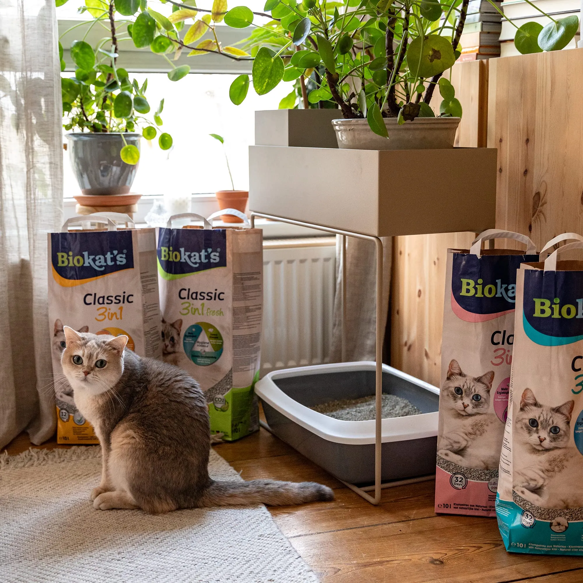 Biokat's Classic 3in1 ohne Duft Klumpende Katzenstreu, 18 L - immagine 4