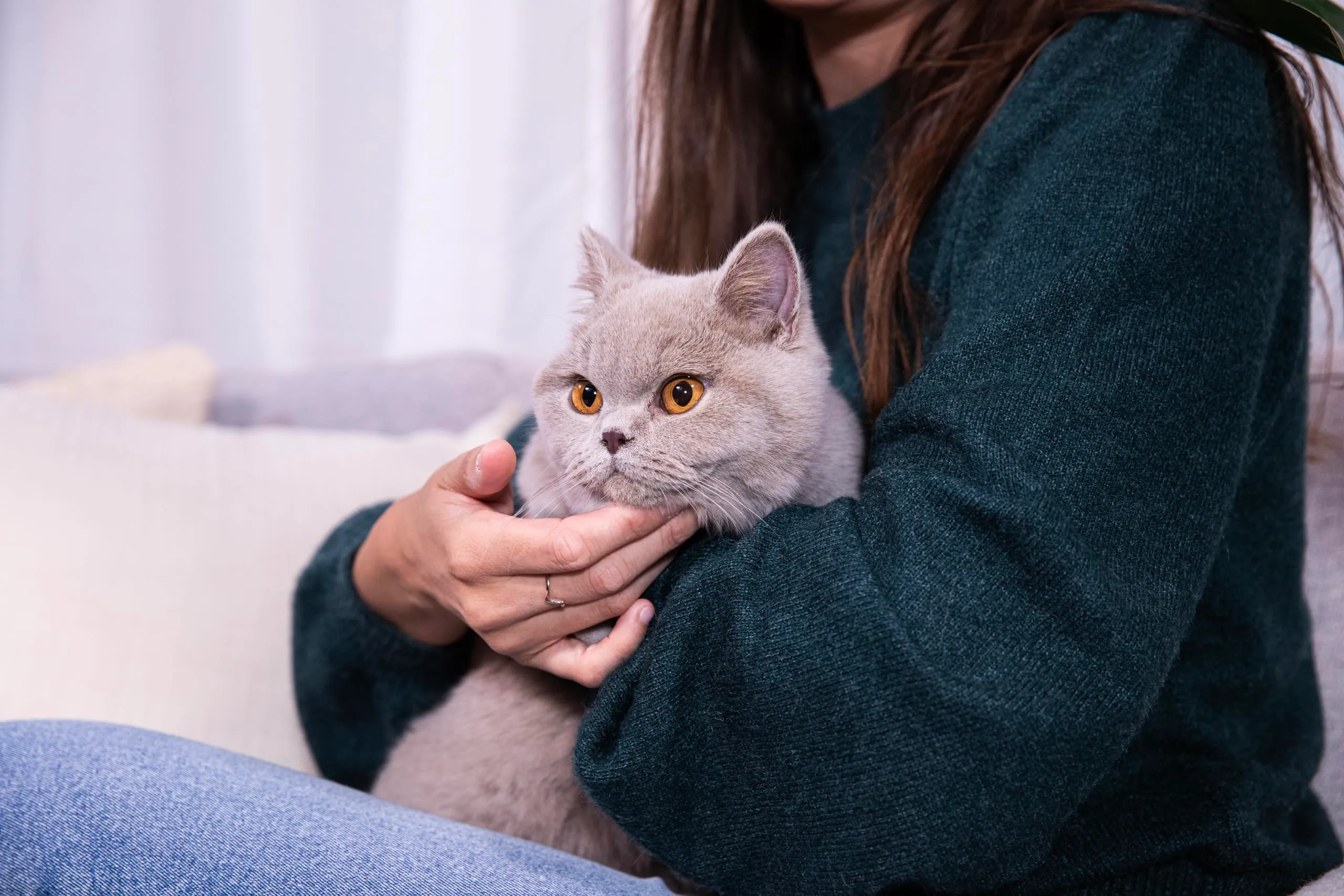 Sanicat Lettiera per gatti Classic senza profumo, 10 L - immagine 9