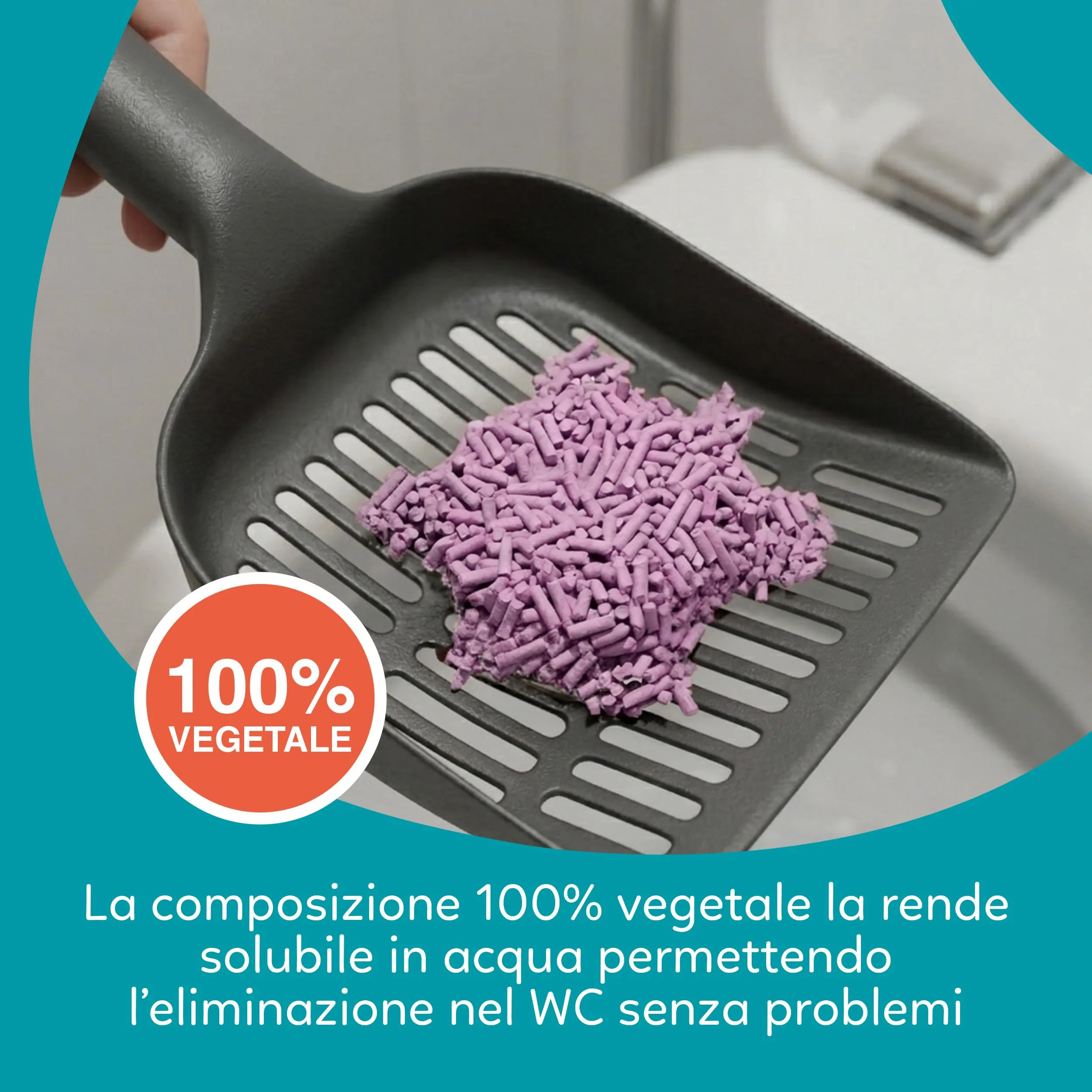 AQPET CattyGreen Lettiera in Soia Naturale per Gatti, Agglomerante Vegetale Biodegradabile alla Lavanda, 36 Litri - immagine 4