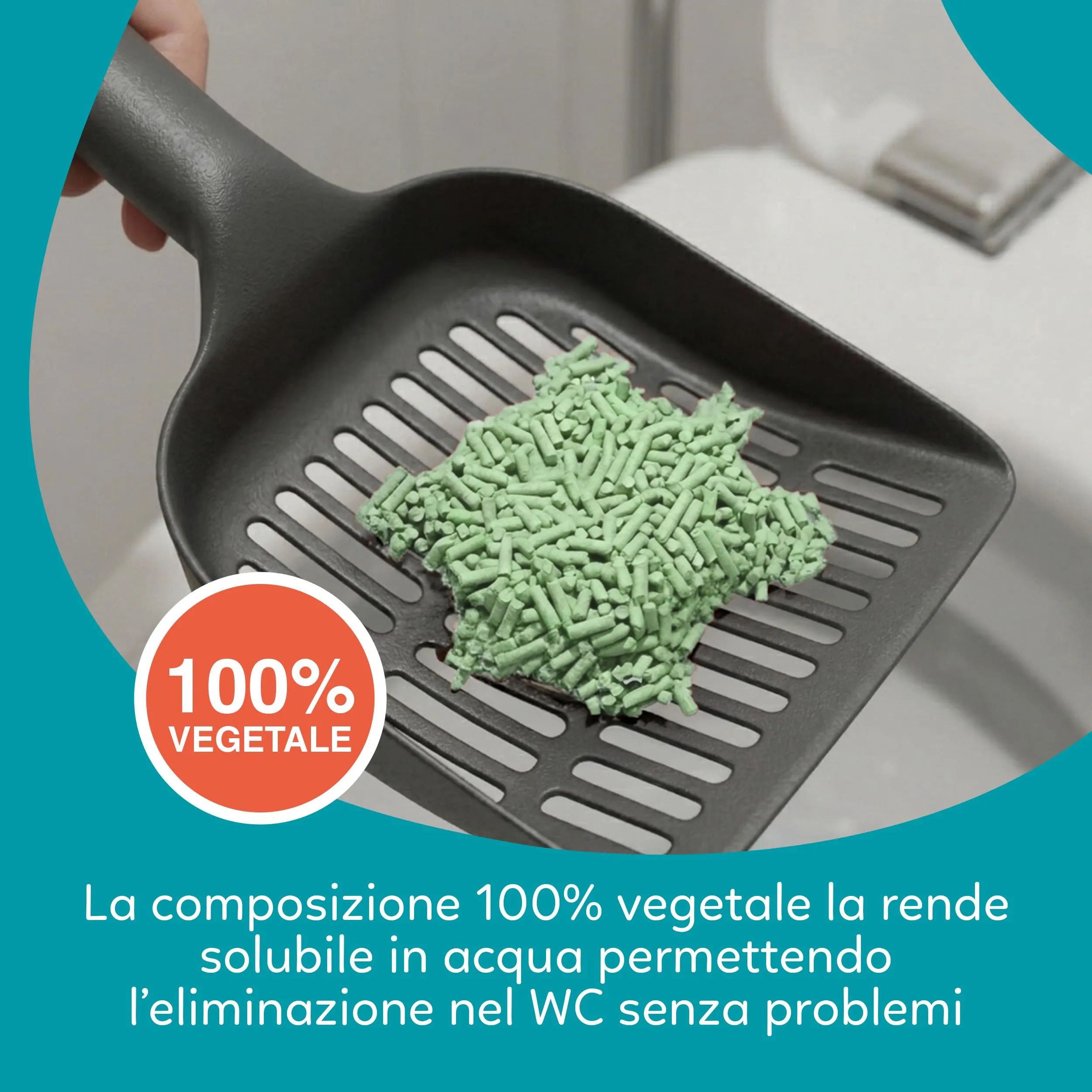 AQPET CattyGreen Lettiera di Soia Naturale per Gatti, Agglomerante Biodegradabile al Gelsomino, Smaltibile nel WC, 36 Litri - immagine 4
