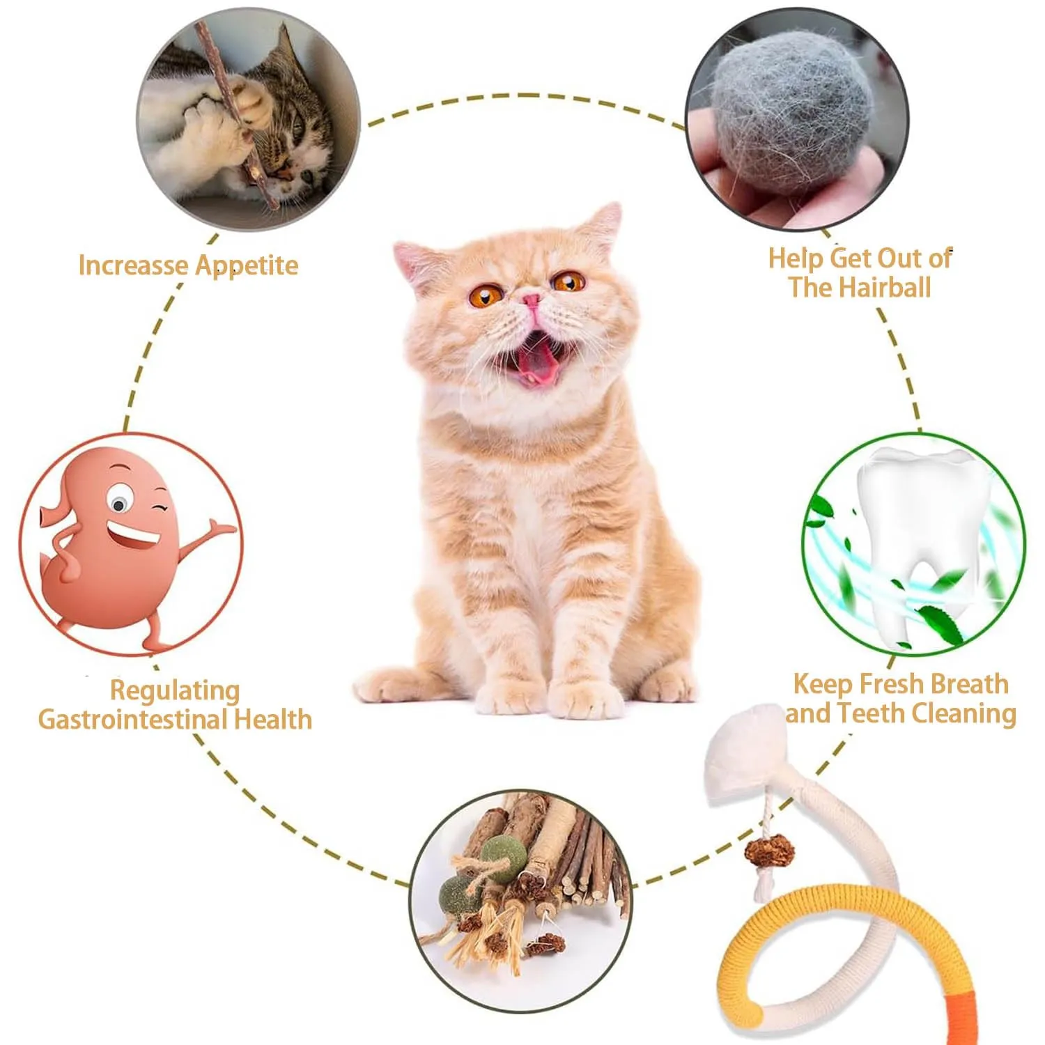 Ptyism 9 Pcs Matatabi for Cats (6 Catnip Sticks and 3 Catnip Bite Ropes) Dental Chew Toys - immagine 4