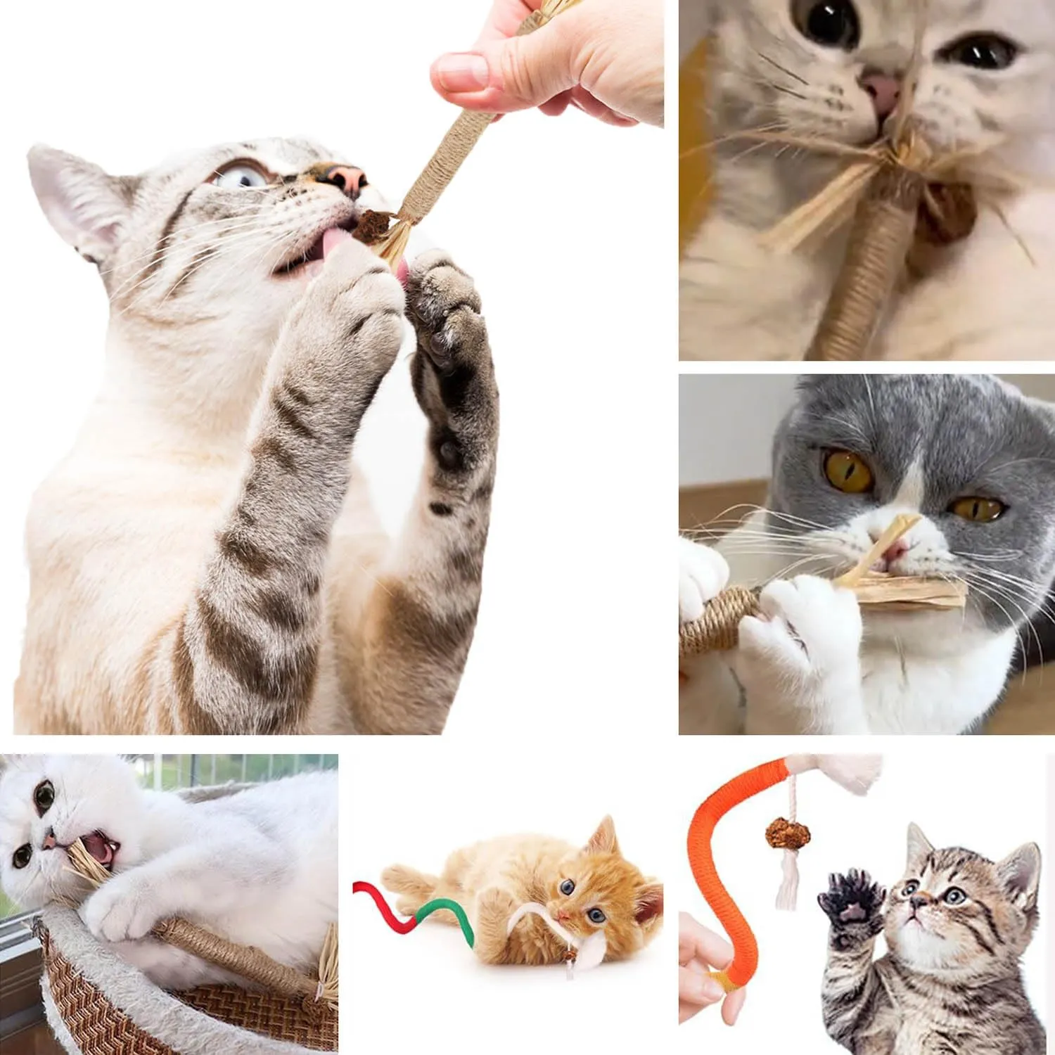 Ptyism 9 Pcs Matatabi for Cats (6 Catnip Sticks and 3 Catnip Bite Ropes) Dental Chew Toys - immagine 6