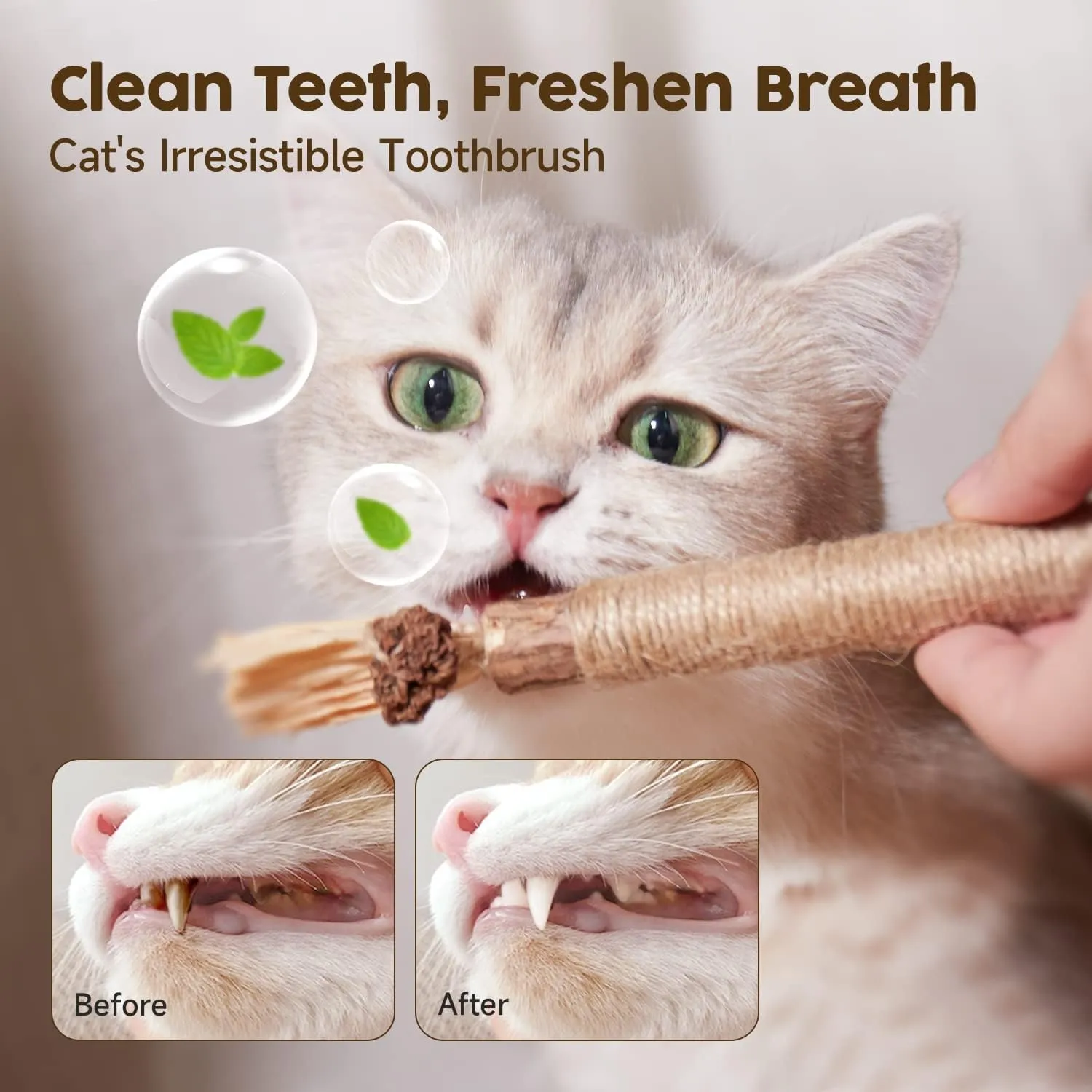 Ptyism 9 Pcs Matatabi for Cats (6 Catnip Sticks and 3 Catnip Bite Ropes) Dental Chew Toys - immagine 7