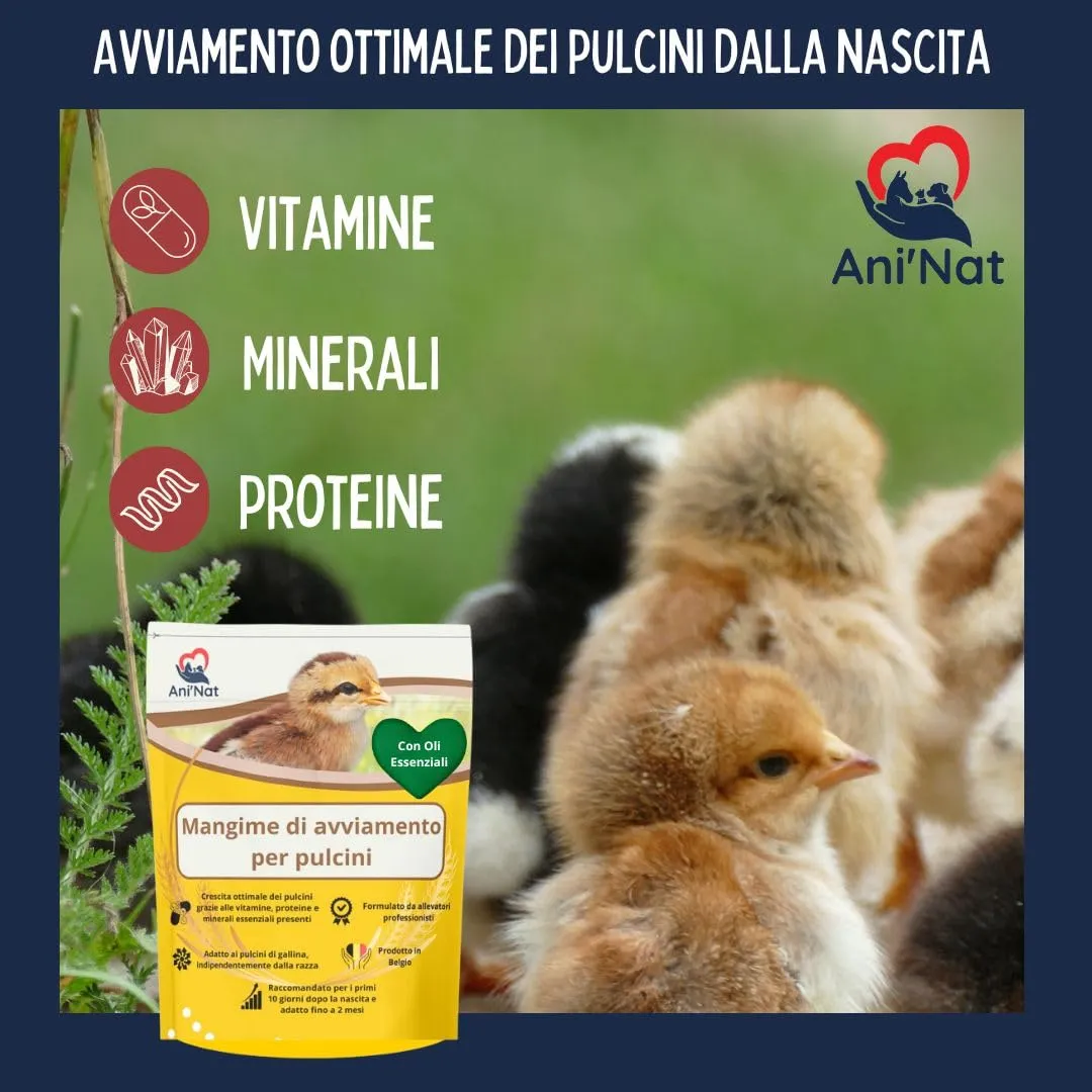 Ani'Nat Alimento Starter per Pulcini, 1° Età (2 x 1,8kg) - immagine 4