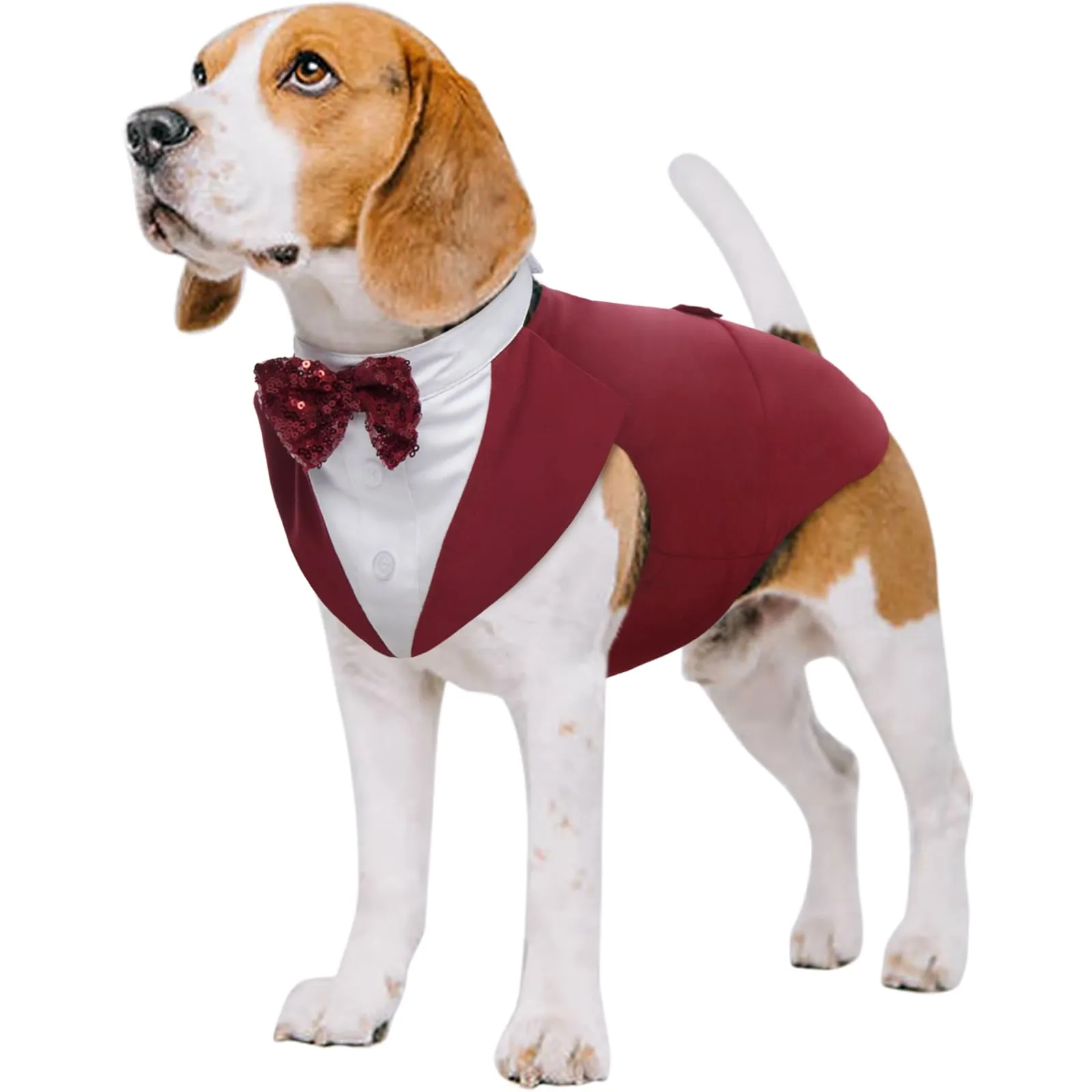 Kuoser Smoking con Bandana e Papillon per Cani, Cotone, Rosso, Taglia M - immagine 1