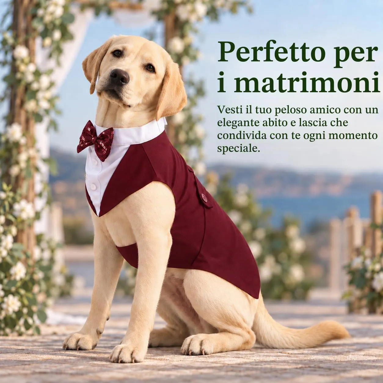 Kuoser Smoking Set per Cani con Bandana, Costume per Matrimonio e Feste, XL - immagine 5
