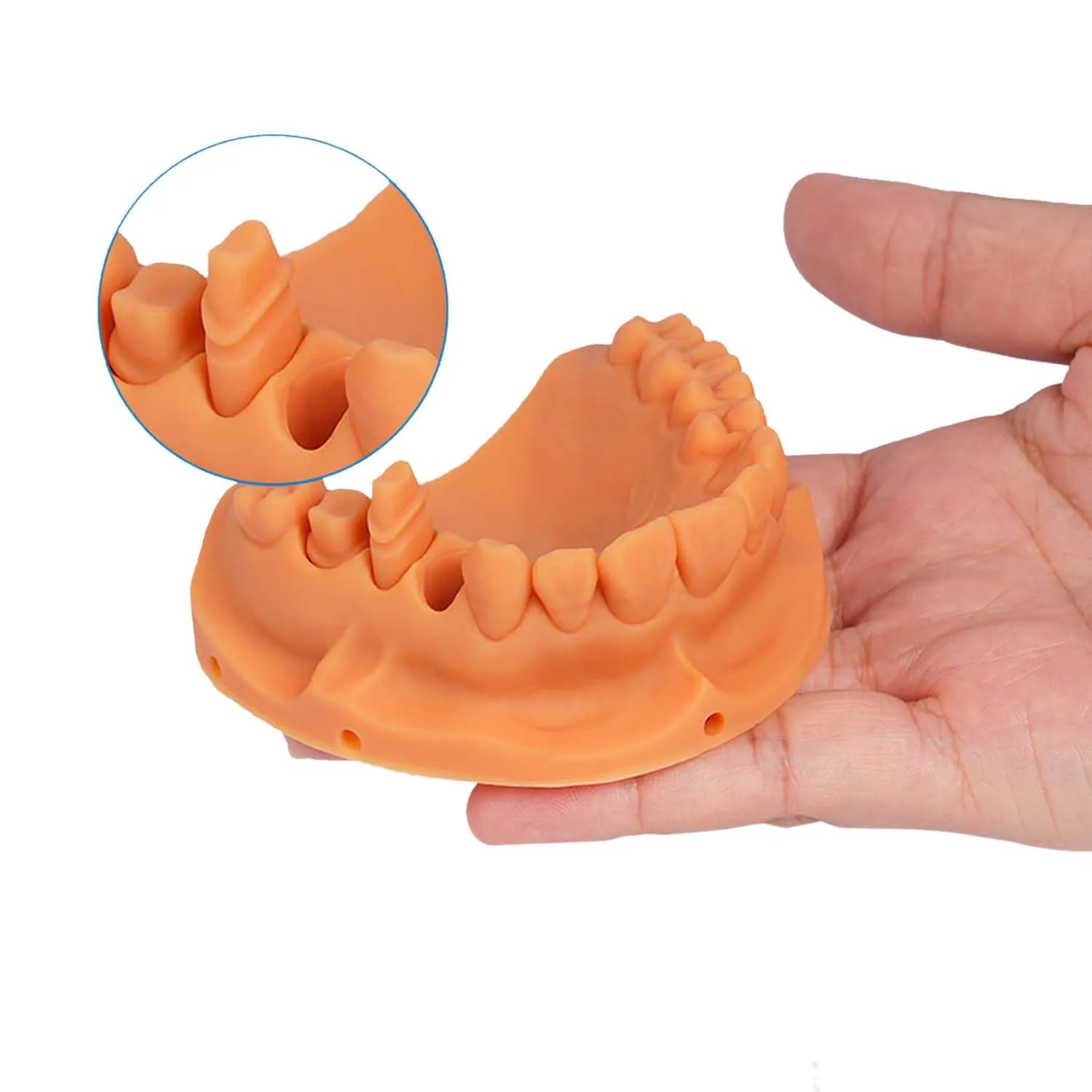 JAMG HE Dental Pro Model Resin for Crown, Bridge, Orthodontic and Implant Models, Water Washable, Light Grey, 500g - immagine 6
