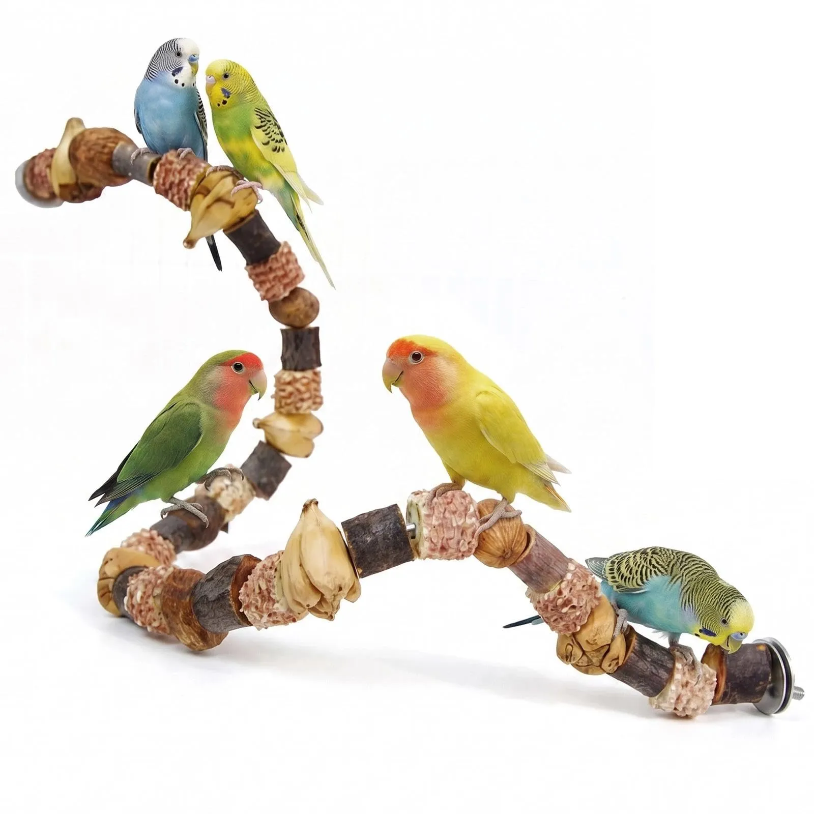 Dexpally Posatoio e Gioco per Pappagalli e Uccelli, 80 cm - immagine 1