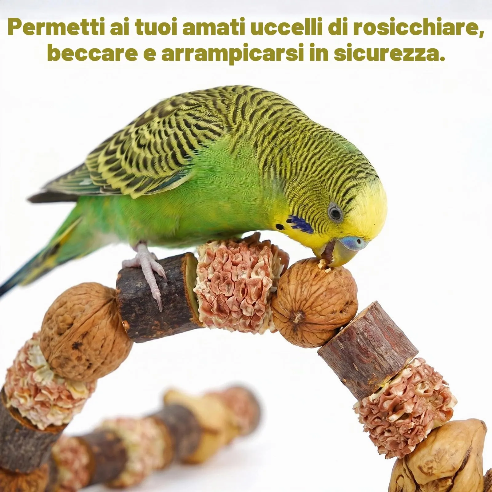Dexpally Posatoio e Gioco per Pappagalli e Uccelli, 80 cm - immagine 3