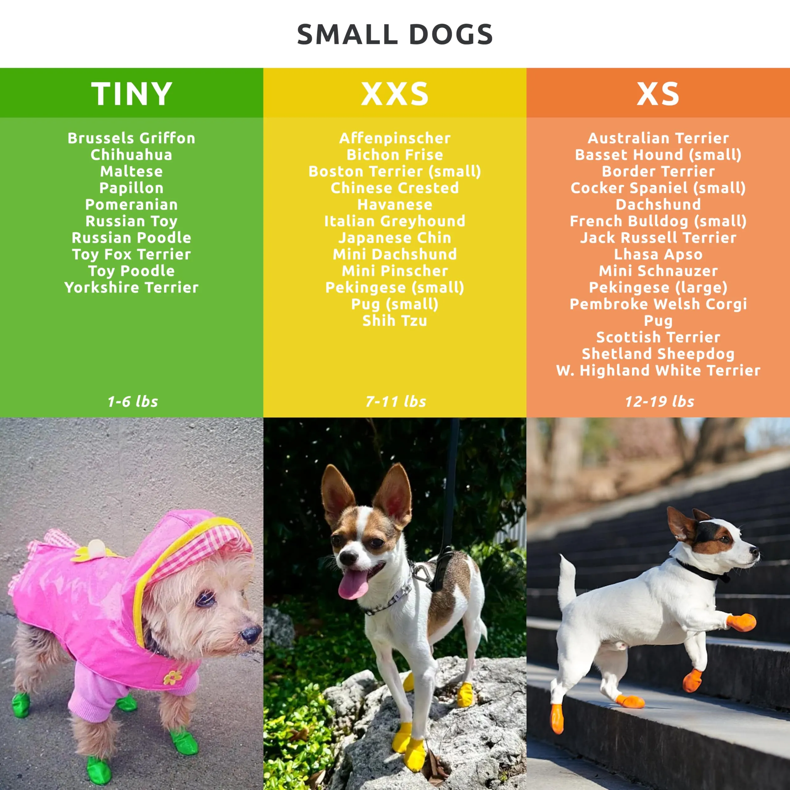 Pawz Scarpette Colorate XXS - immagine 4