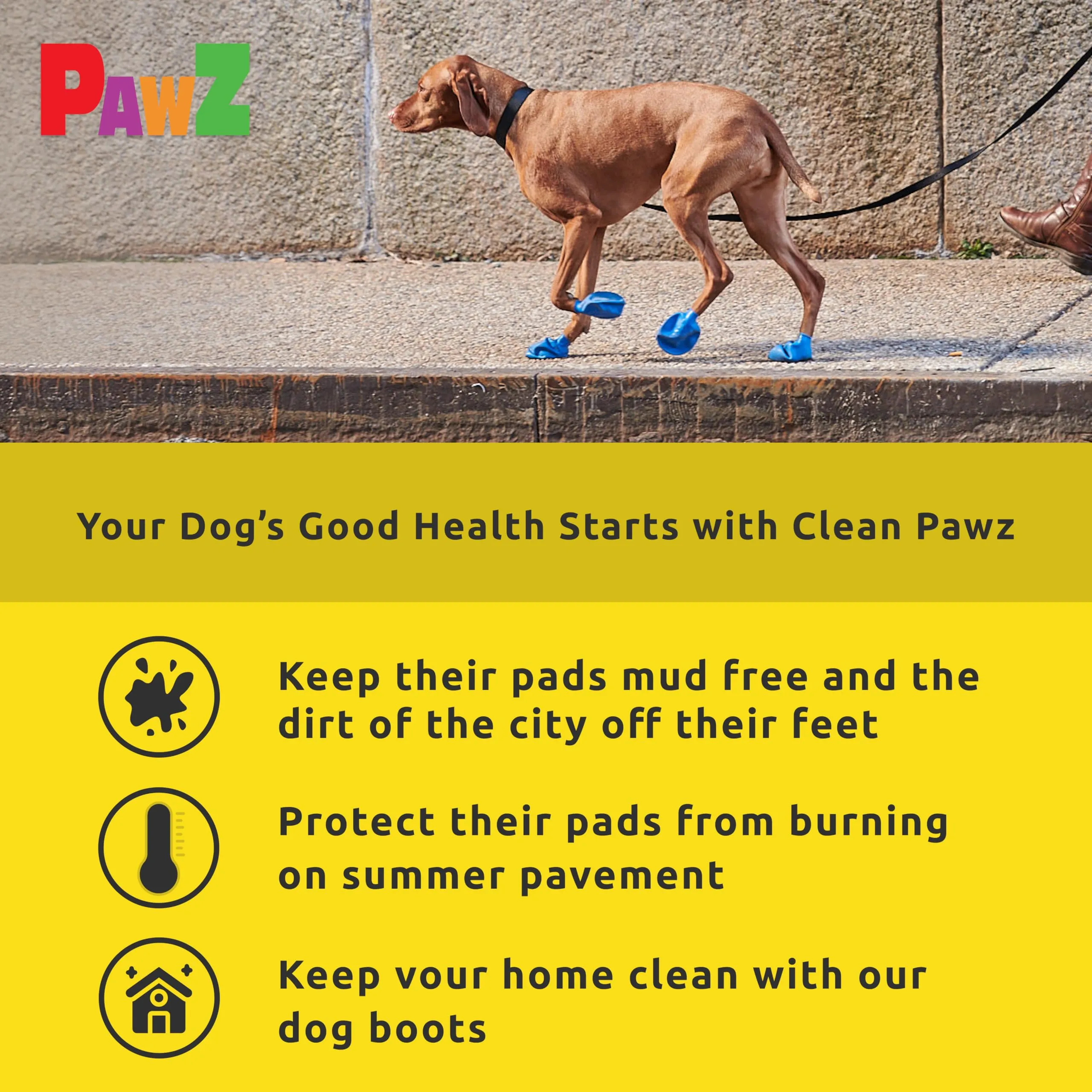 Pawz Scarpette Colorate XXS - immagine 5