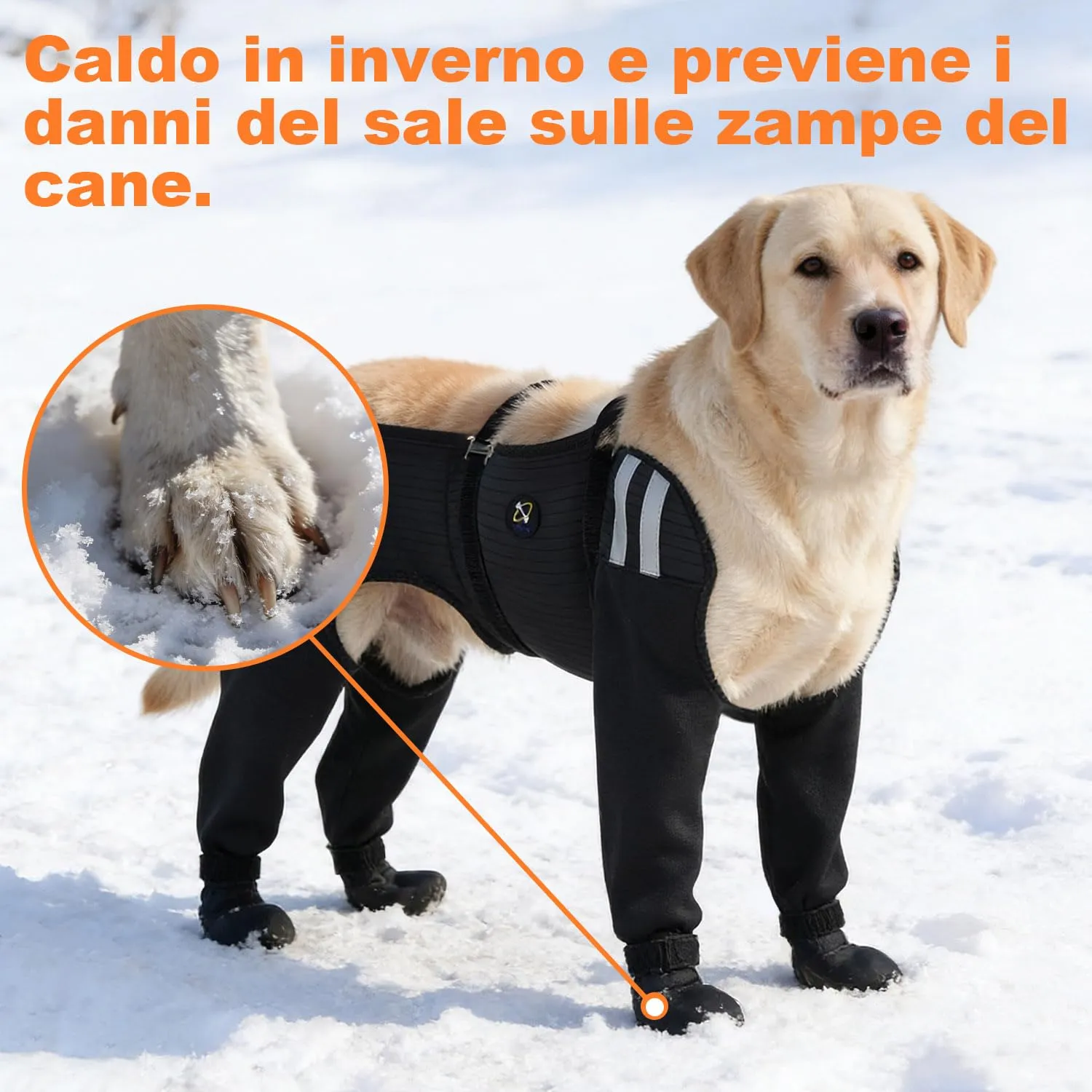 COODEO Calzini Impermeabili Antiscivolo per Cani, Protezione Anti-Leccamento per Ferite, Pioggia, Neve e Cura Post-Operatoria, Nero, XL - immagine 7