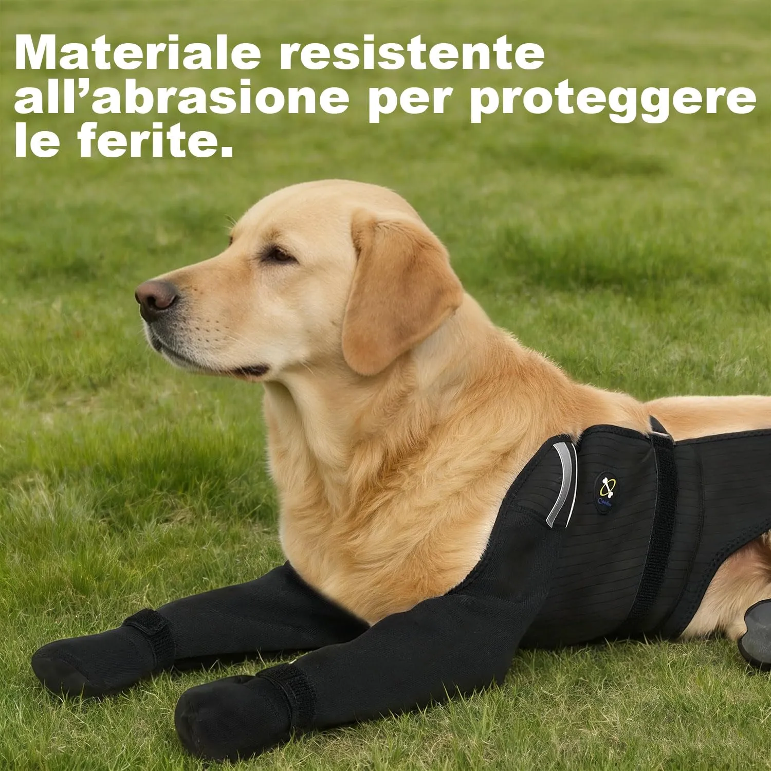 COODEO Calzini Impermeabili Antiscivolo per Cani, Protezione Anti-Leccamento per Ferite, Pioggia, Neve e Cura Post-Operatoria, Nero, XL - immagine 8