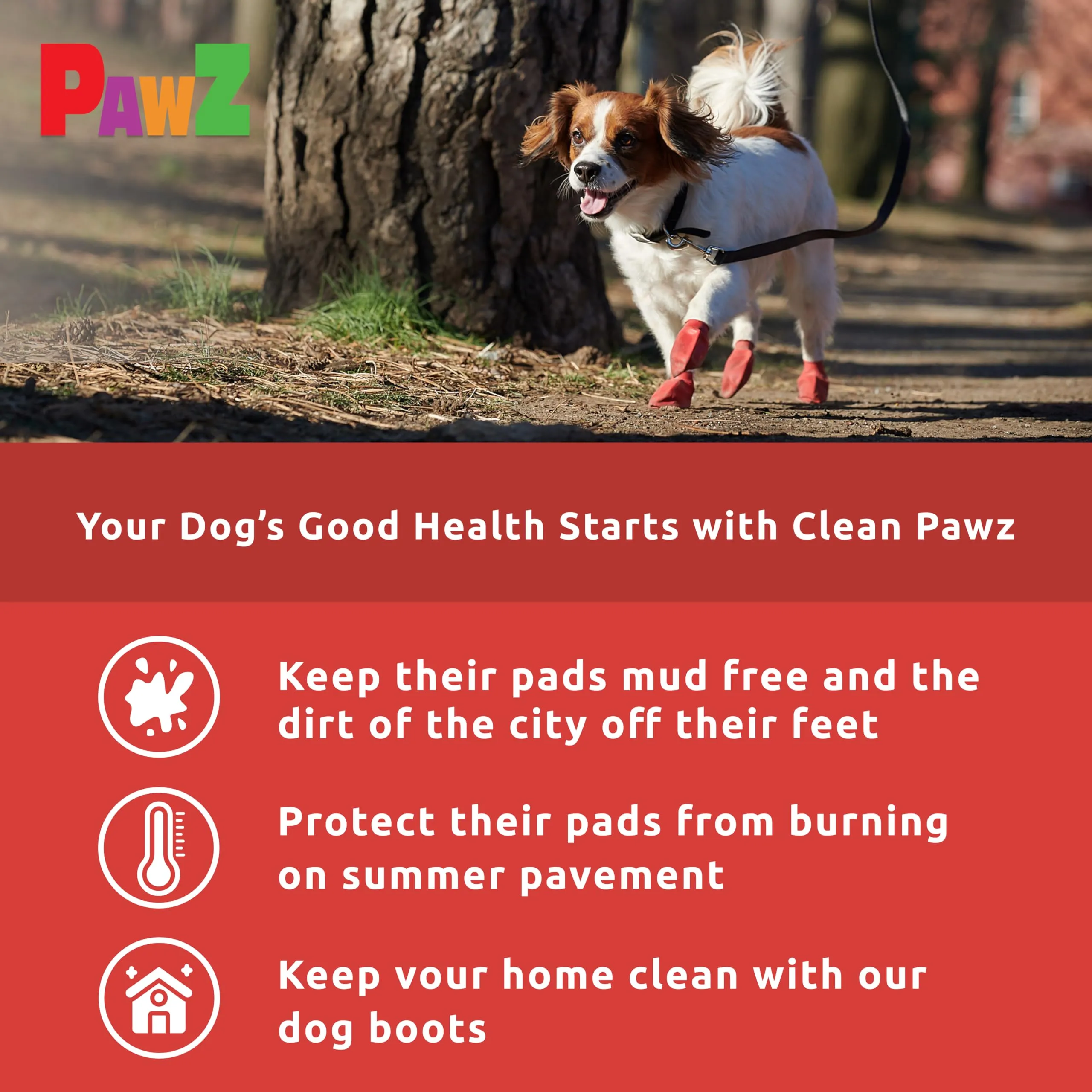 Pawz Scarpette Colorate Per Cani, Small, Giallo - immagine 5