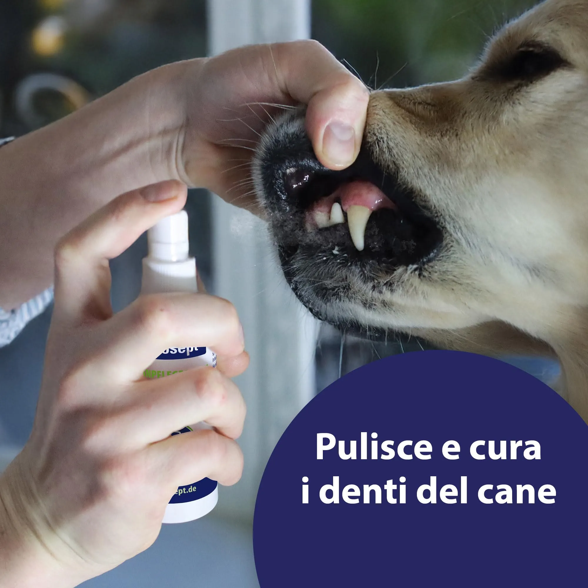 Canosept Spray per la Cura dei Denti per Cani 100 ml - immagine 3
