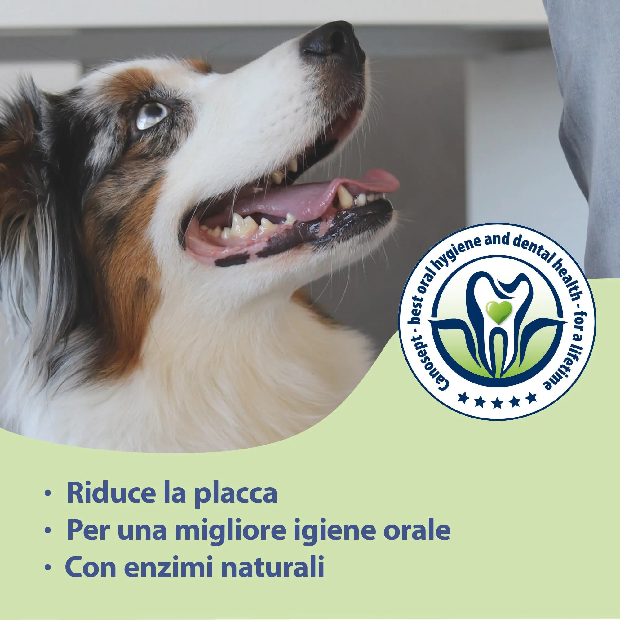 Canosept Spray per la Cura dei Denti per Cani 100 ml - immagine 5