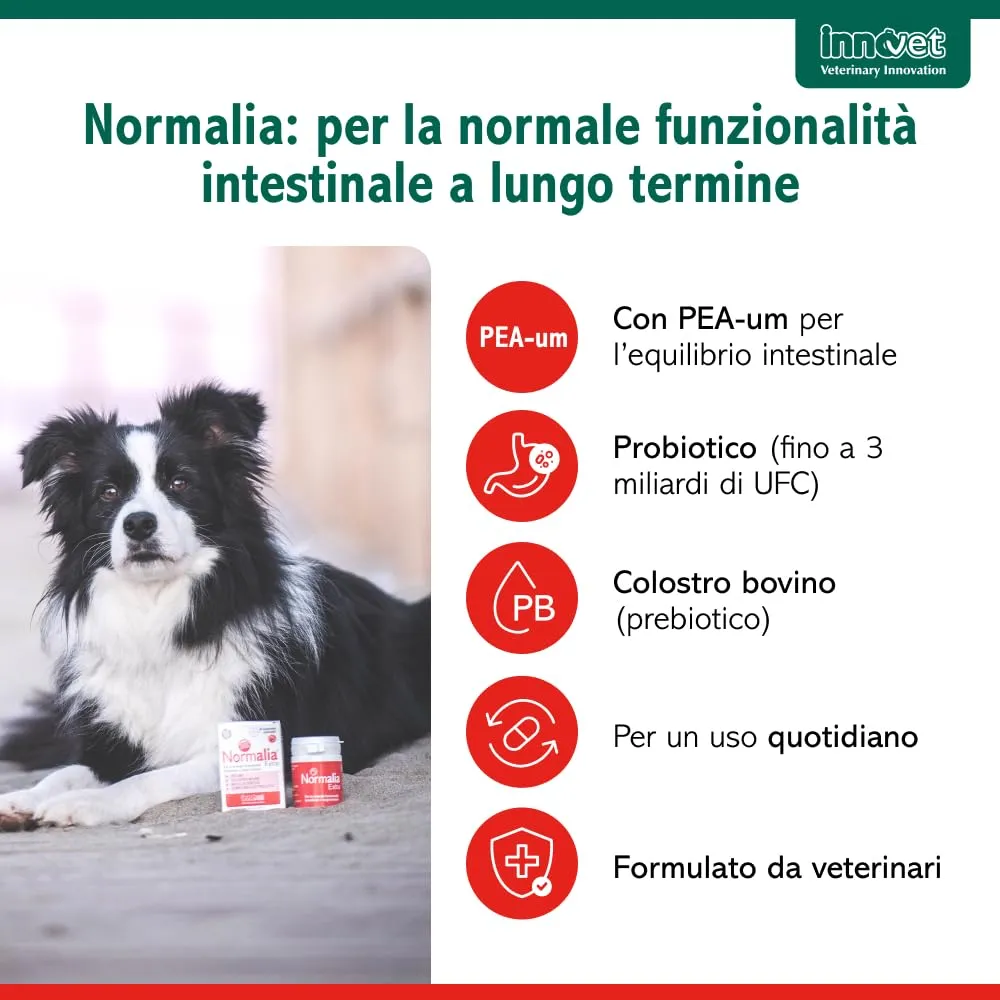 Innovet Normalia Extra per Cani - Supporto Intestinale con Probiotici, Colostro Bovino e PEA-um - 30 stick - immagine 3