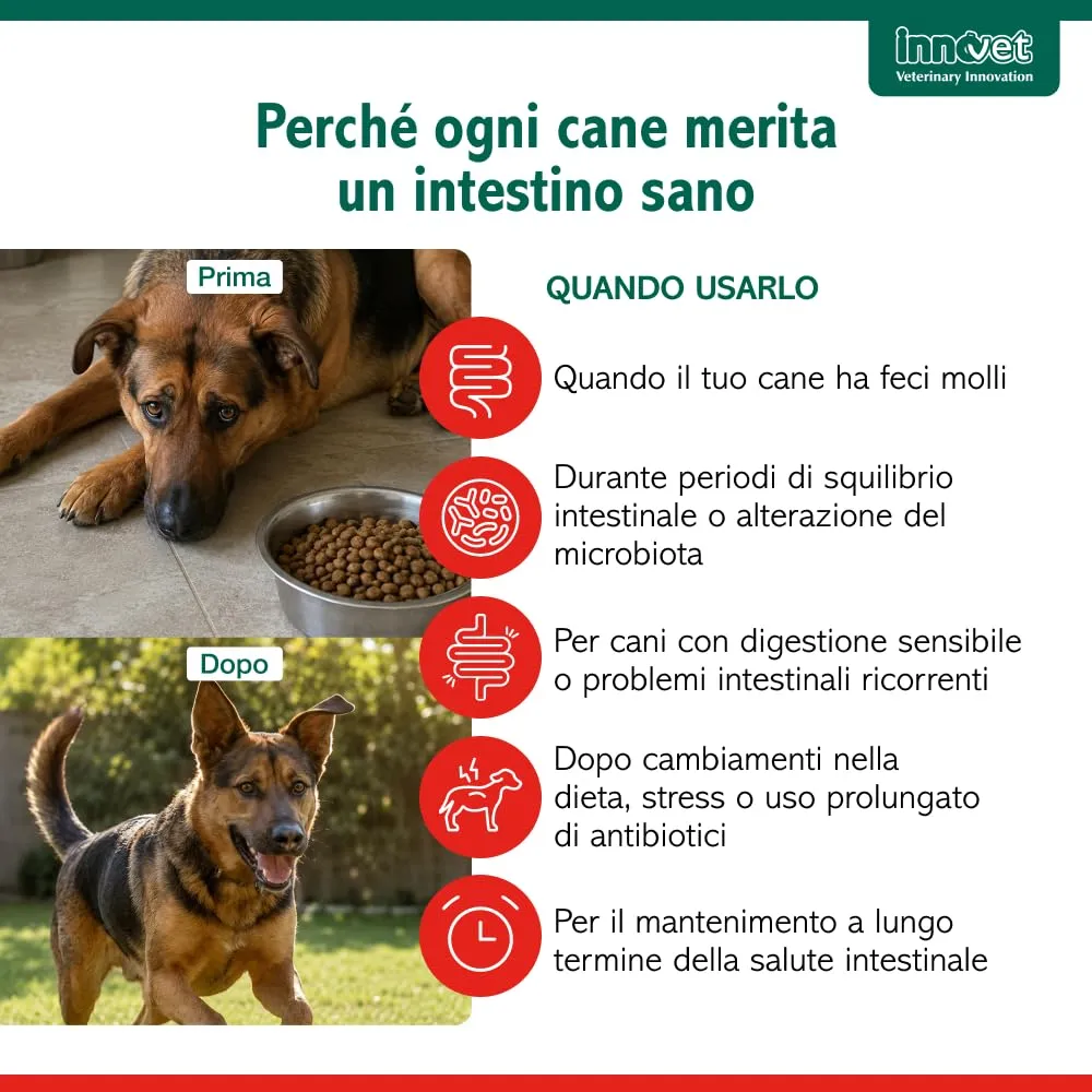 Innovet Normalia Extra per Cani - Supporto Intestinale con Probiotici, Colostro Bovino e PEA-um - 30 stick - immagine 4