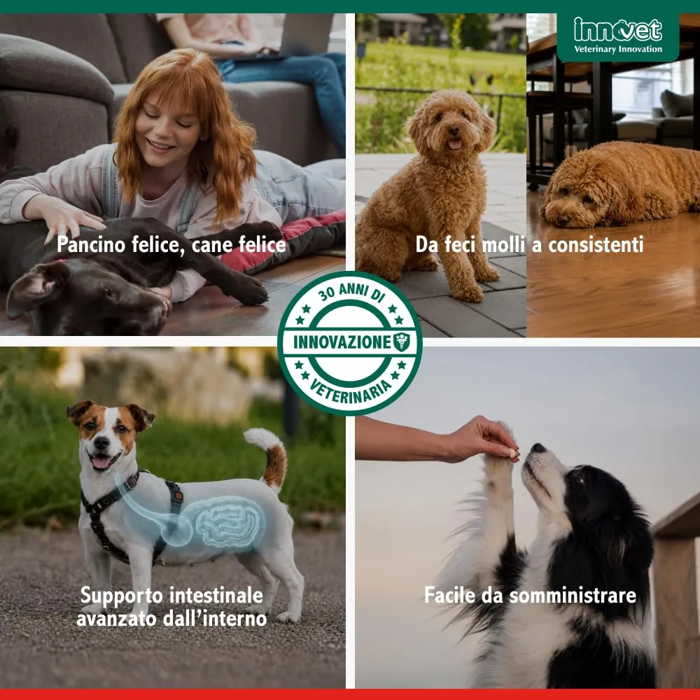 Innovet Normalia Extra per Cani - Supporto Intestinale con Probiotici, Colostro Bovino e PEA-um - 30 stick - immagine 7