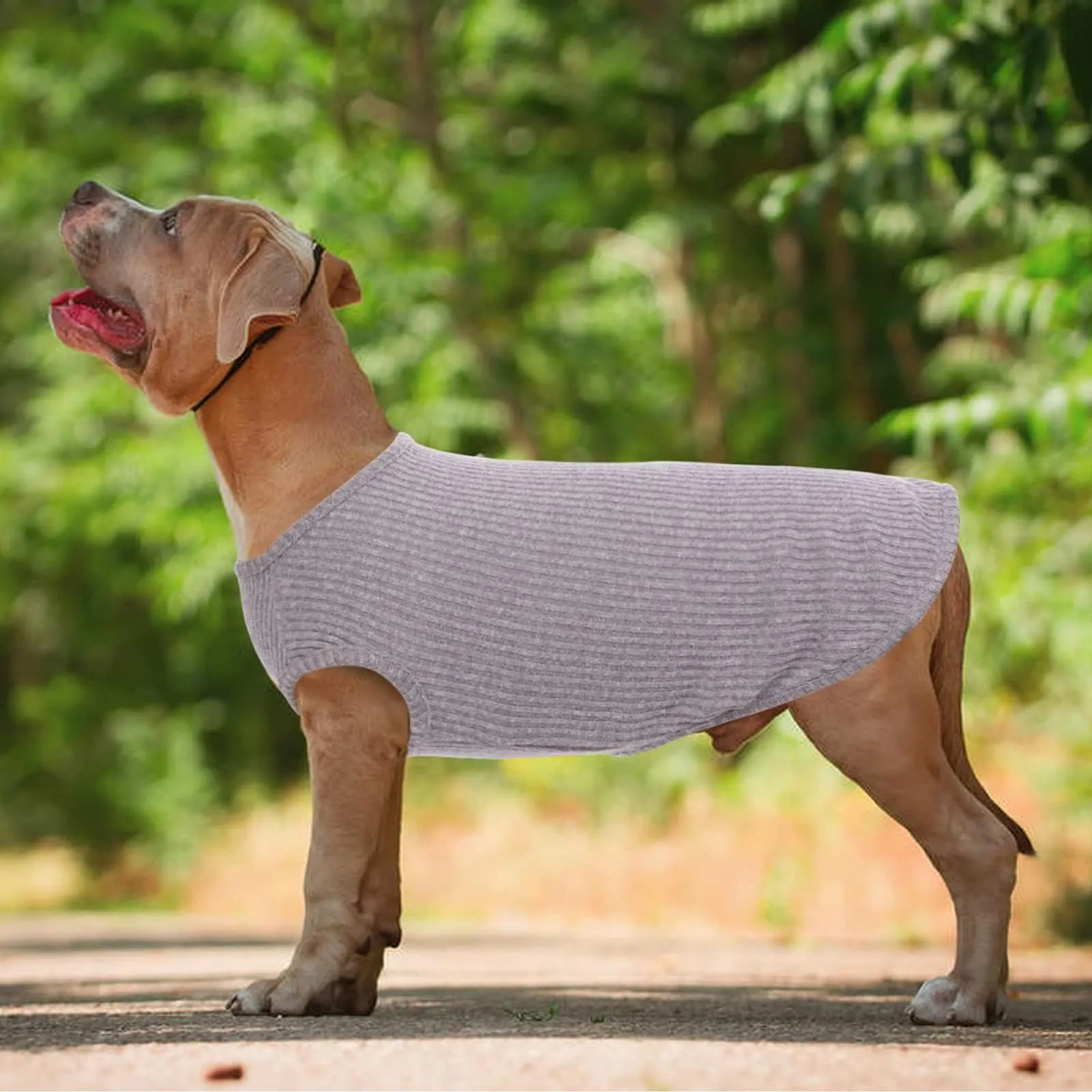 Hjumarayan Maglietta Estiva a Righe per Cani, Grigio XS - immagine 2