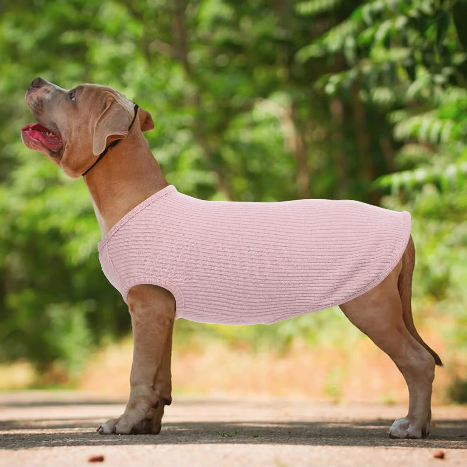 Hjumarayan Maglietta Estiva a Righe per Cani, Rosa M - immagine 2