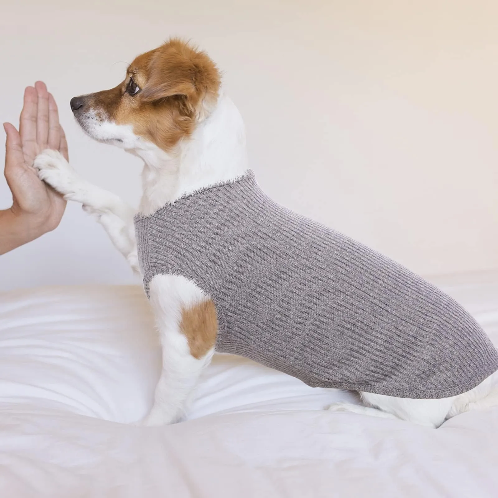 Hjumarayan Maglietta Estiva a Righe per Cani, Grigio S - immagine 6