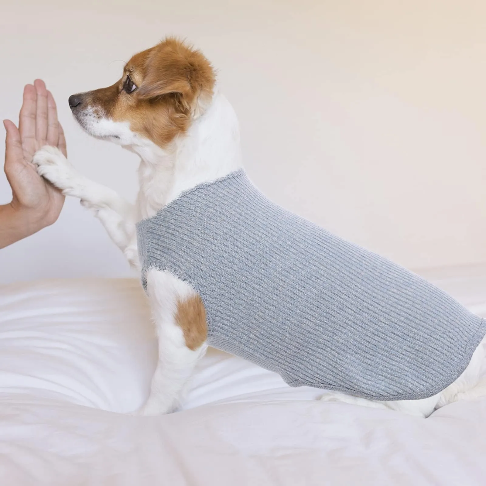 Hjumarayan Maglietta Estiva a Righe per Cani, Blu, XXS - immagine 6