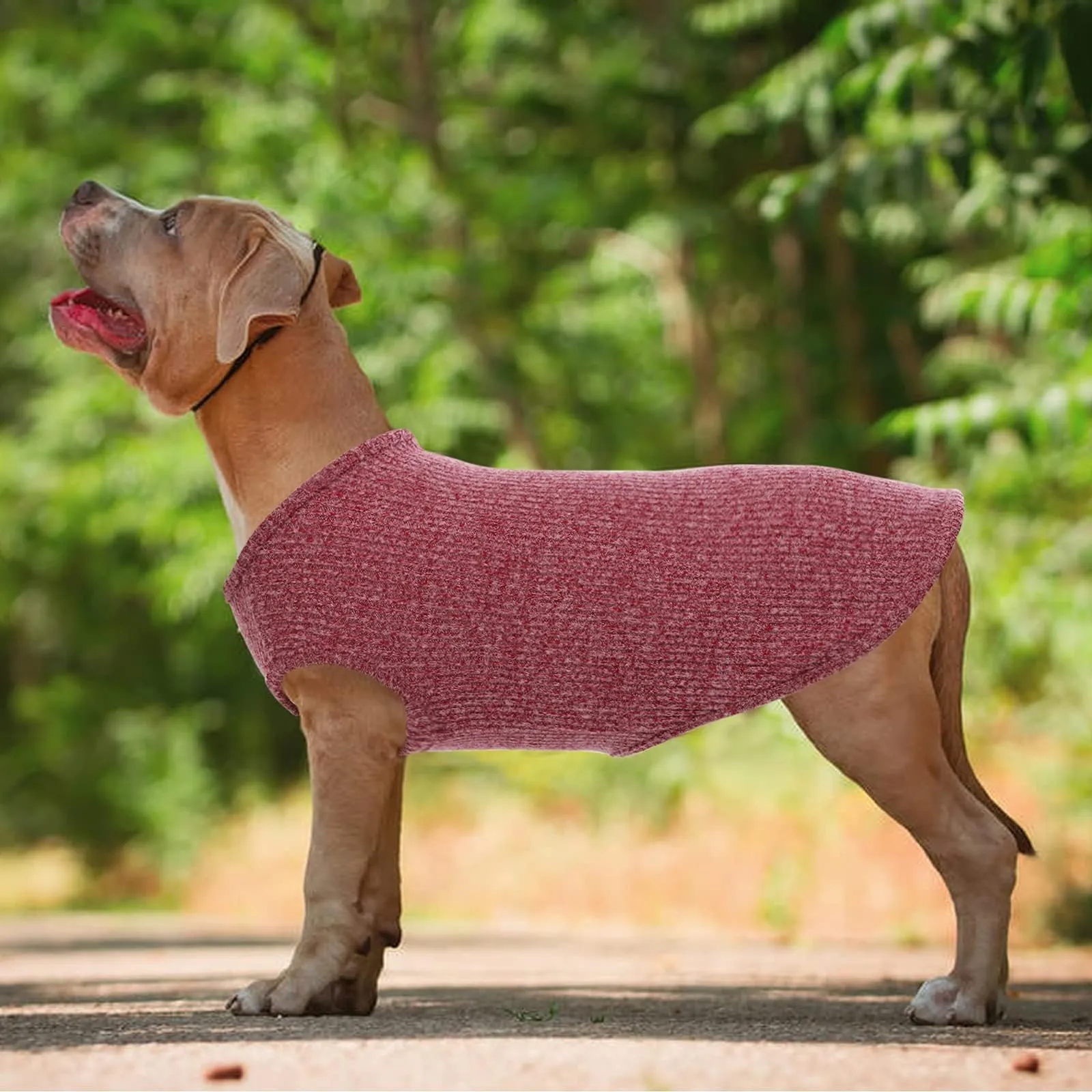 Hjumarayan Maglietta Estiva a Righe per Cani, Rosso Borgogna, Taglia S - immagine 2