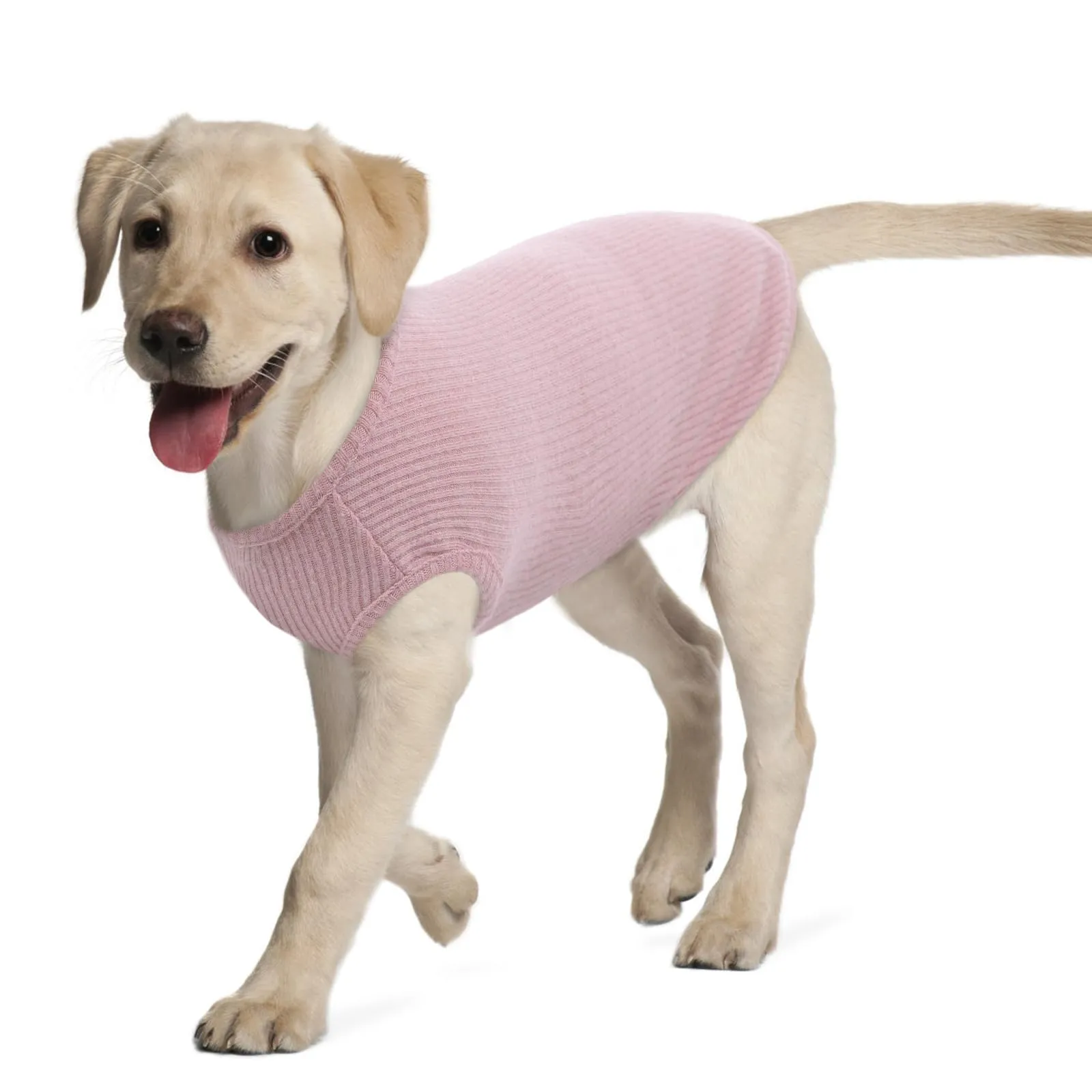 Hjumarayan Maglietta a Righe per Cani, Rosa XXL - immagine 1