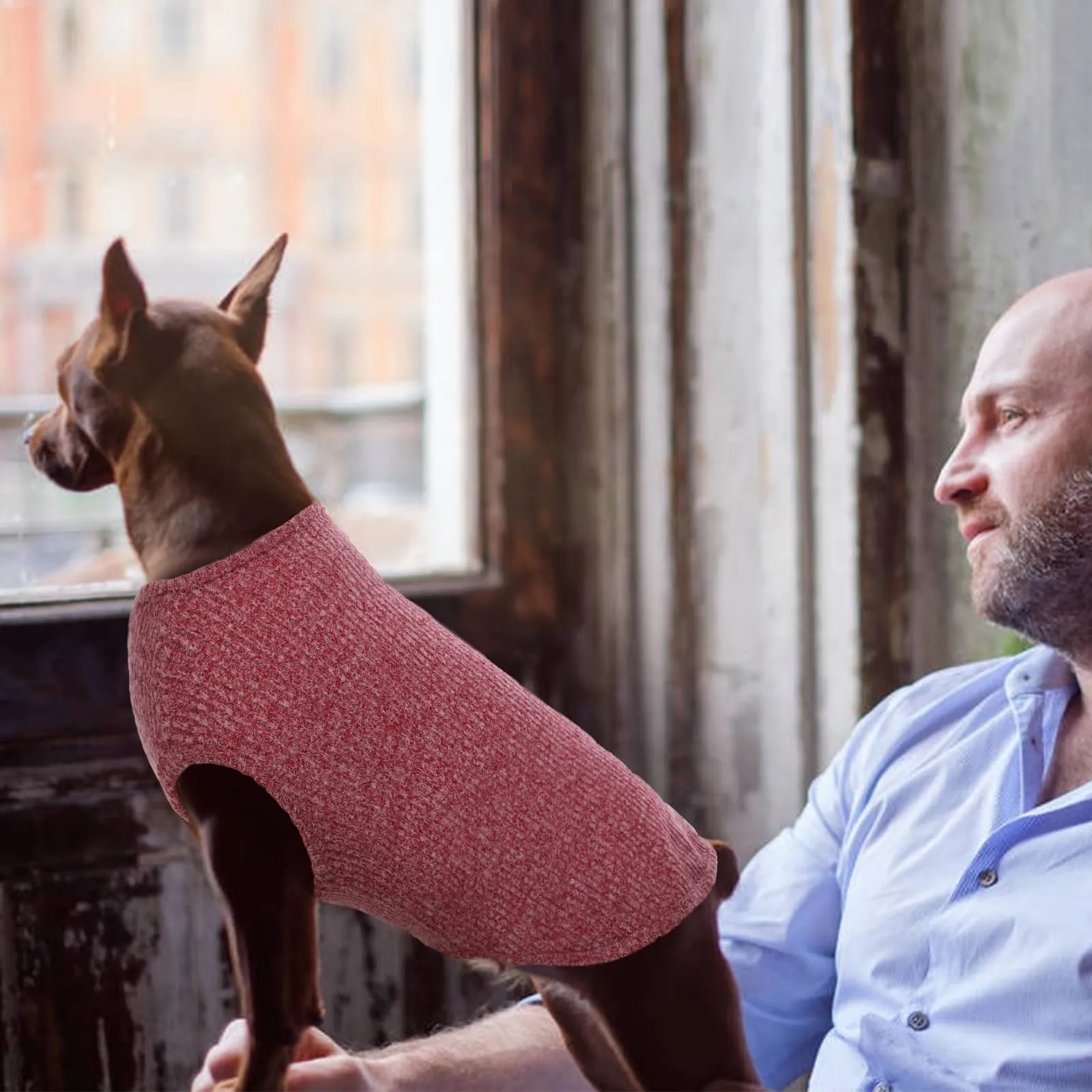 Hjumarayan Maglietta per Cani a Righe, Rosso borgogna, XXL - immagine 6