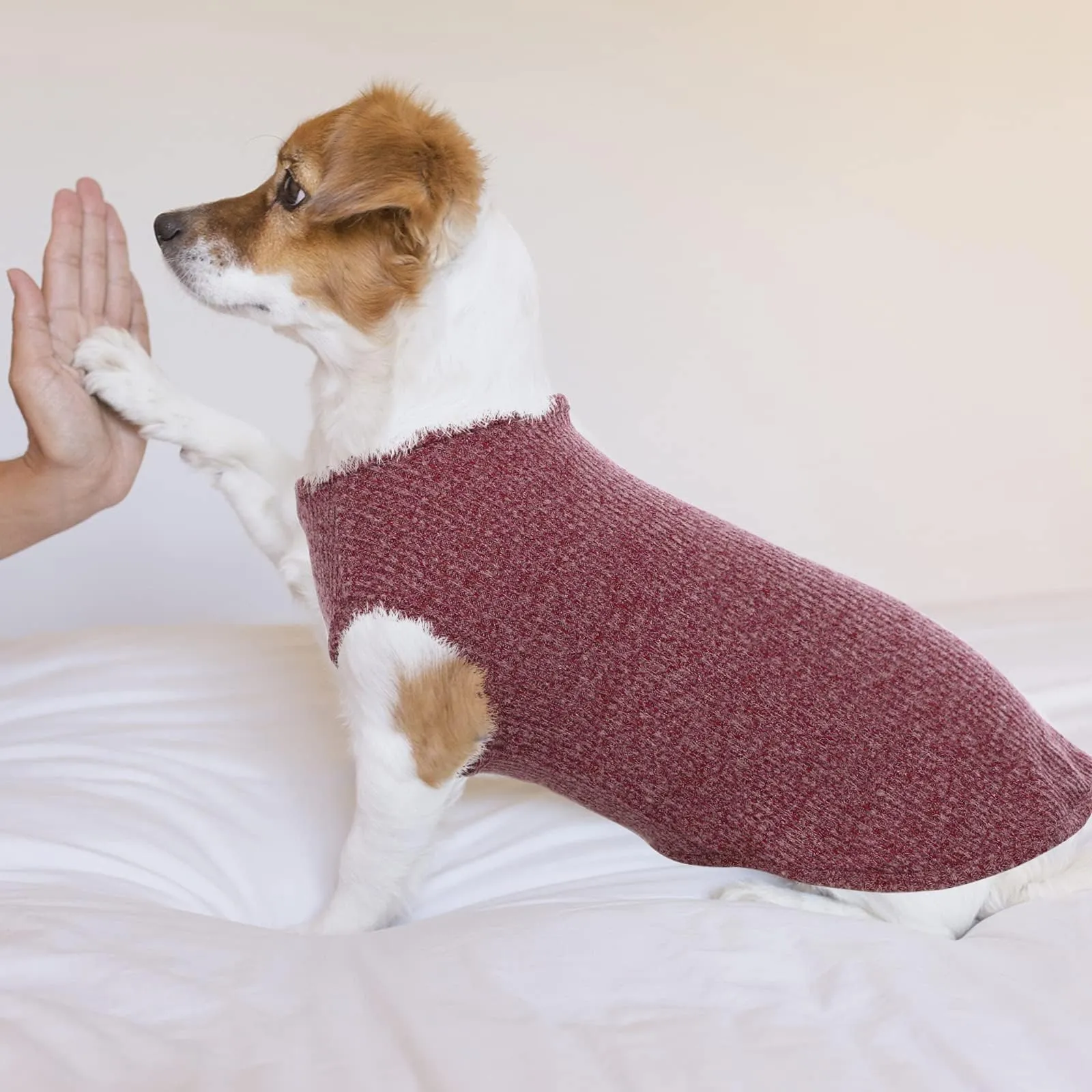 Hjumarayan Maglietta Estiva per Cani a Righe, Rosso borgogna, XS - immagine 7