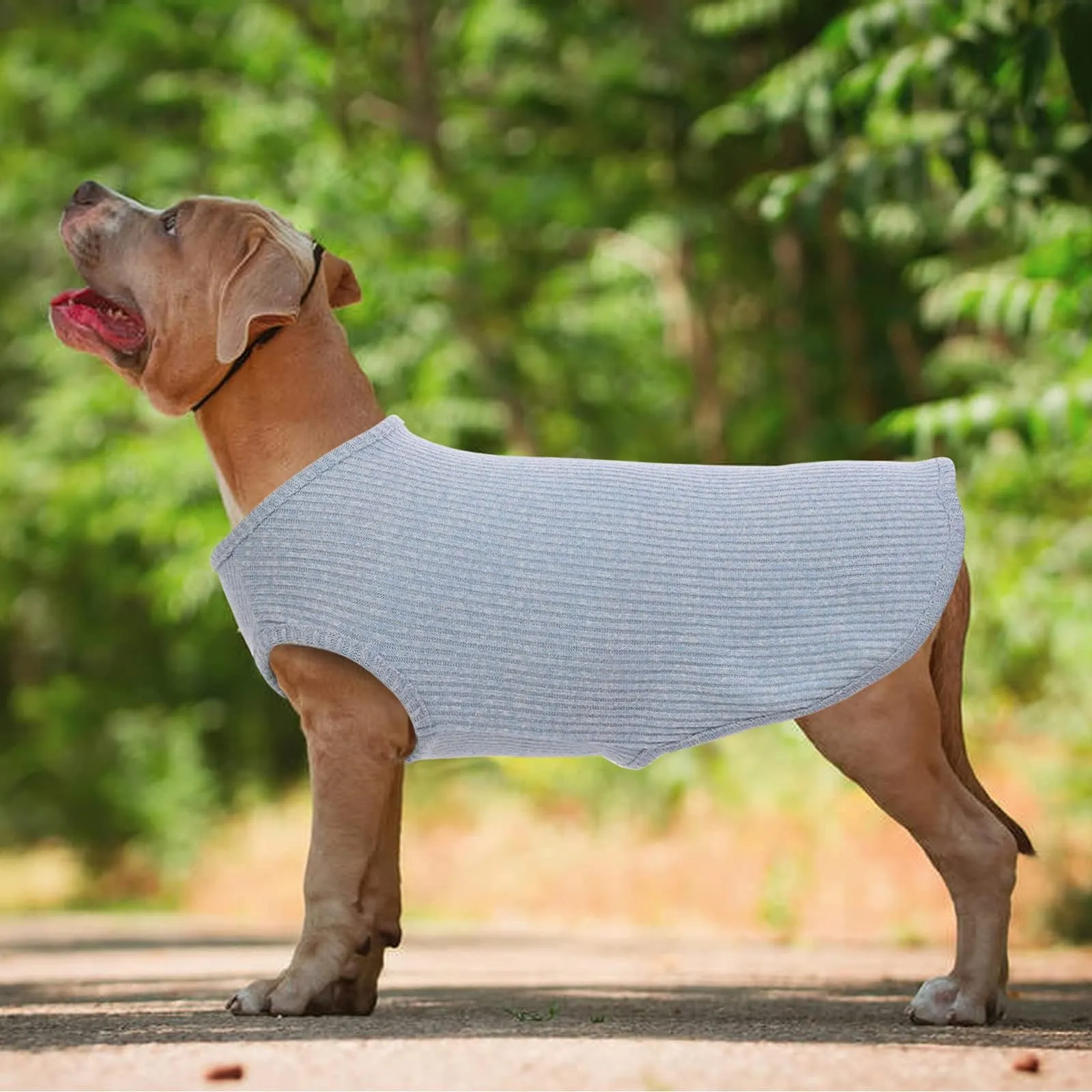 Hjumarayan Maglietta Estiva per Cani a Righe, Blu, M - immagine 2