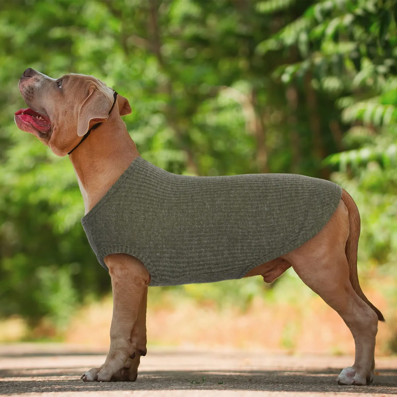 Hjumarayan Maglietta Estiva per Cani, Verde L - immagine 2
