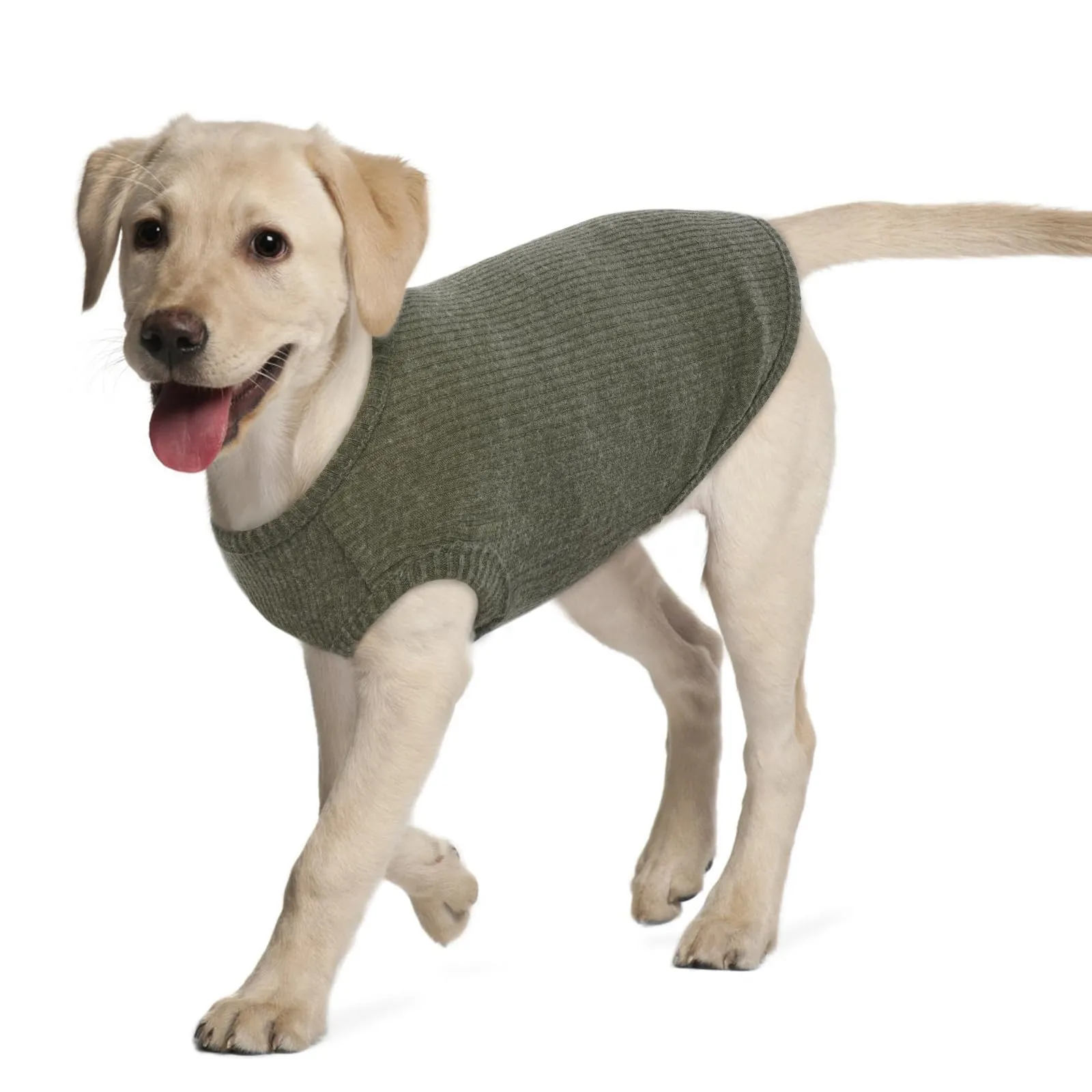 Hjumarayan Maglietta Estiva per Cani, Verde XXL - immagine 1