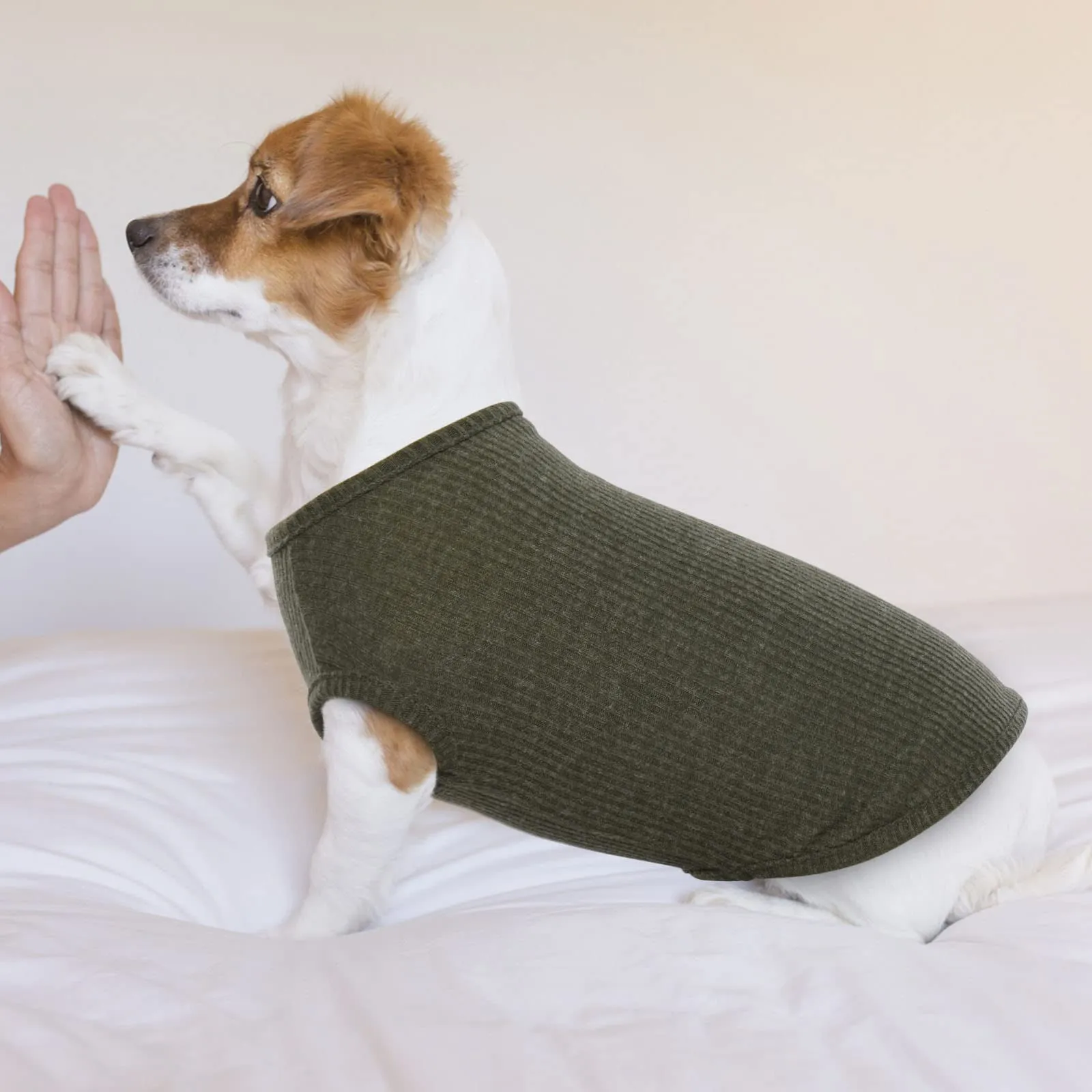 Hjumarayan Maglietta Estiva per Cani, Cotone Elastico, Verde XL - immagine 7