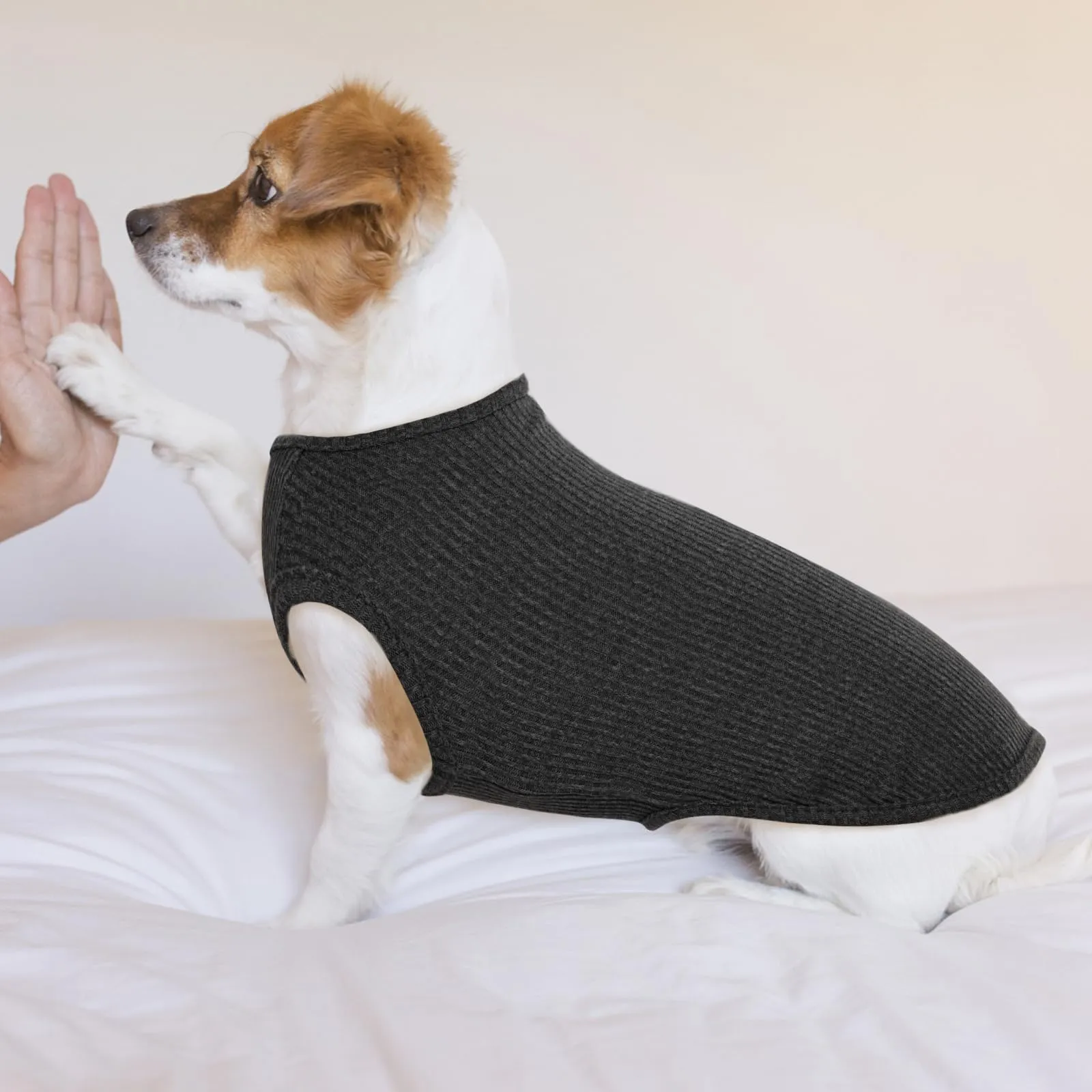 Hjumarayan Maglietta Estiva per Cani a Righe, Nero, Taglia M - immagine 7