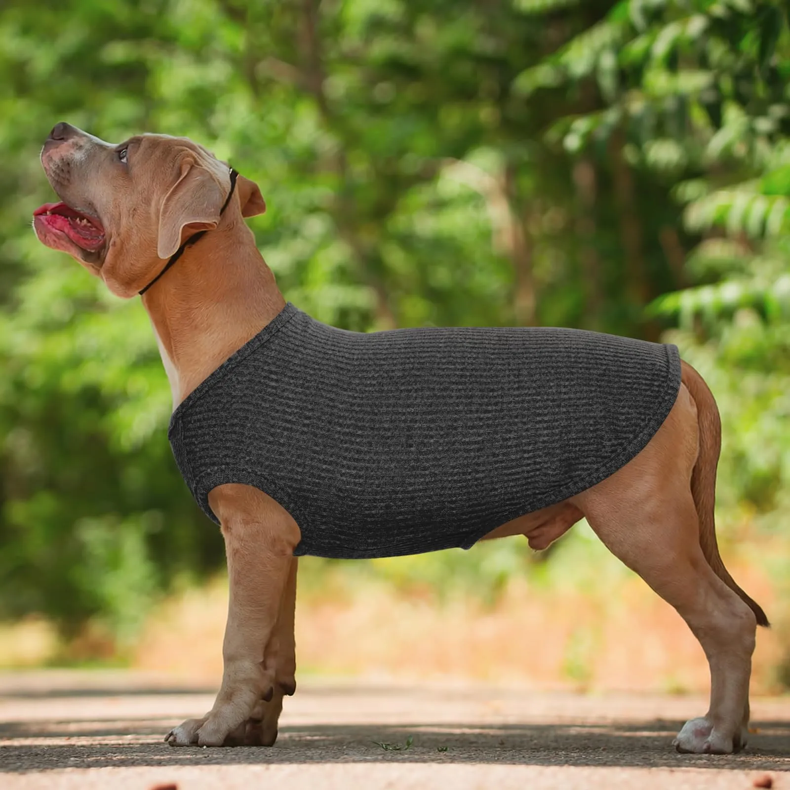 Hjumarayan Maglietta a Righe per Cani, Nero, XL - immagine 2