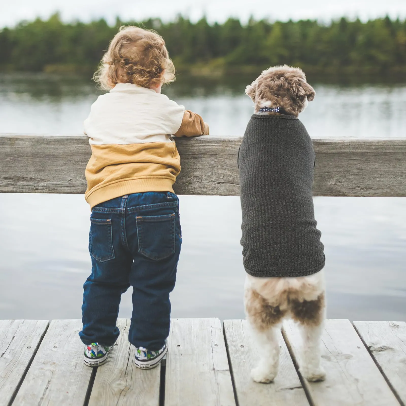 Hjumarayan Maglietta per Cani a Righe, Taglia L, Nero - immagine 6