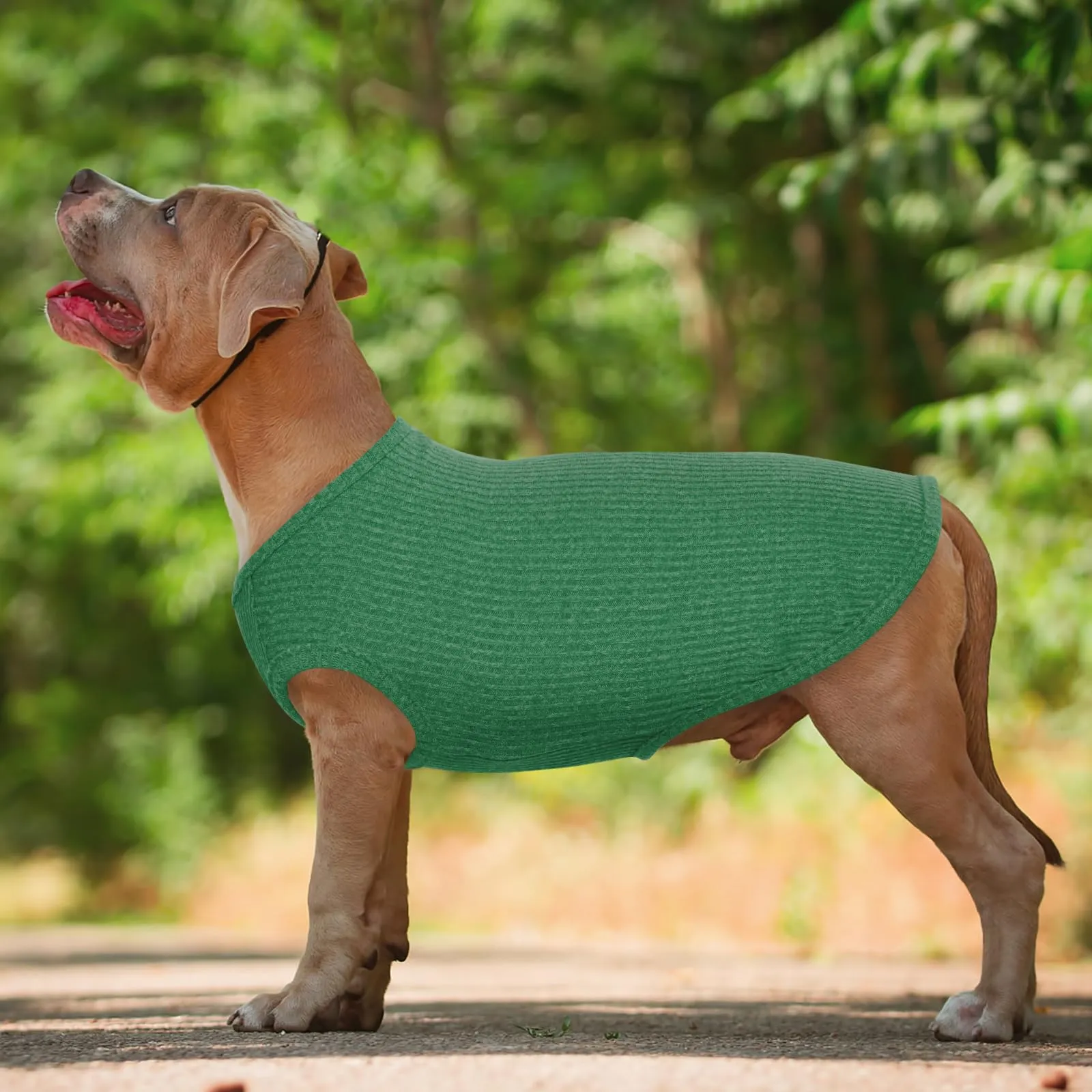 Hjumarayan Maglioncino a Righe per Cani, Verde Smeraldo, M - immagine 2