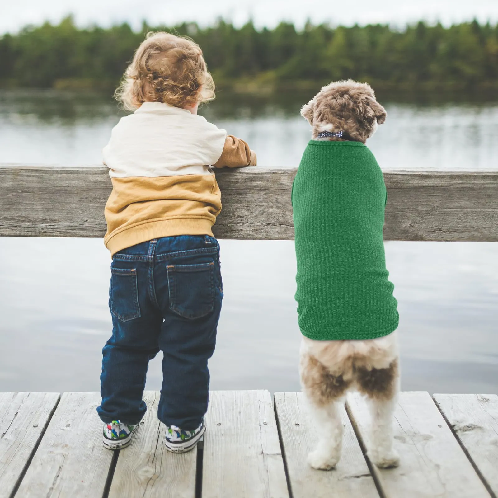 Hjumarayan Maglioncino per Cani a Righe in Cotone, Verde Smeraldo, L - immagine 7