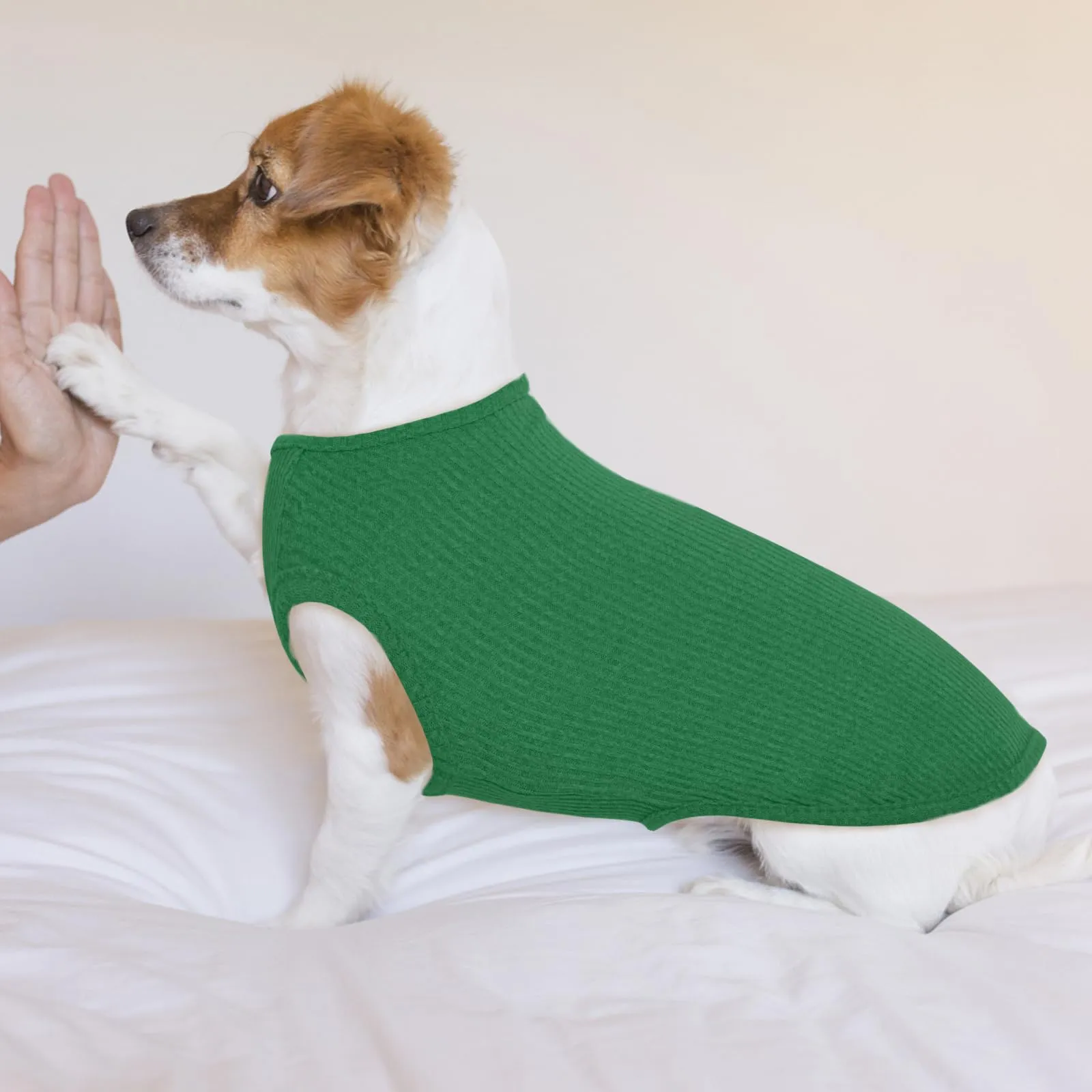 Hjumarayan Maglioncino a Righe per Cani, Verde Smeraldo, XL - immagine 6