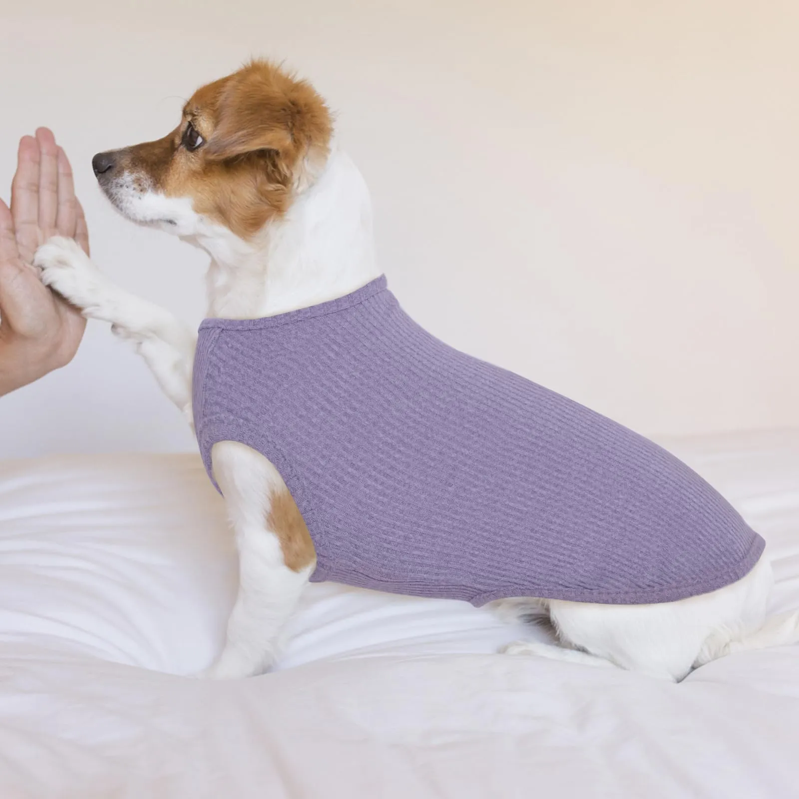 Hjumarayan Maglietta Estiva a Righe per Cani, Lilla M - immagine 2