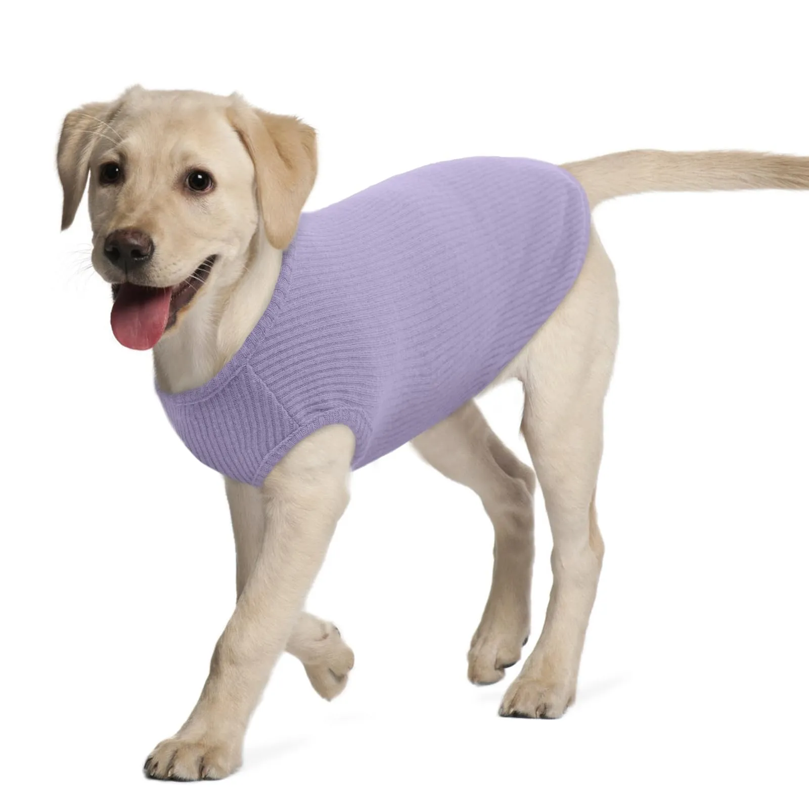Hjumarayan Maglietta a Righe per Cani, Lilla, XL - immagine 1