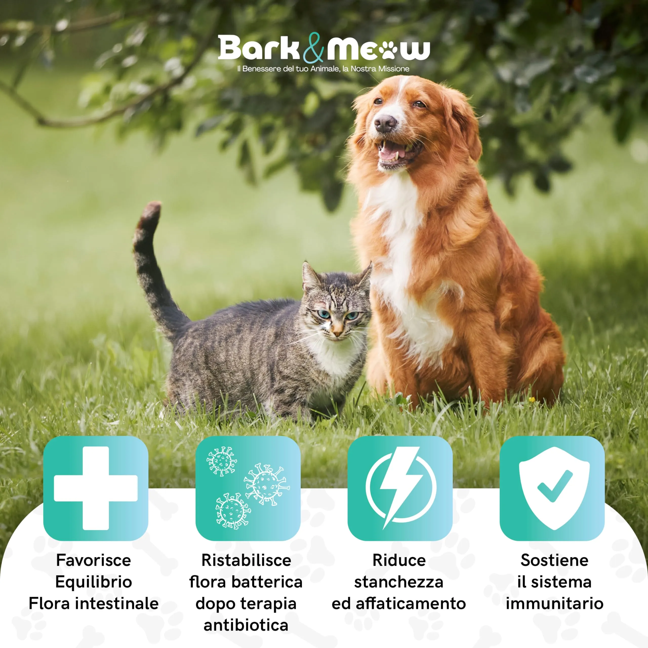 Bark & Meow FlorActive Fermenti Probiotici per cani e gatti, 1,4 miliardi UFC, con Prebiotici FOS e MOS, 30 Compresse - immagine 2